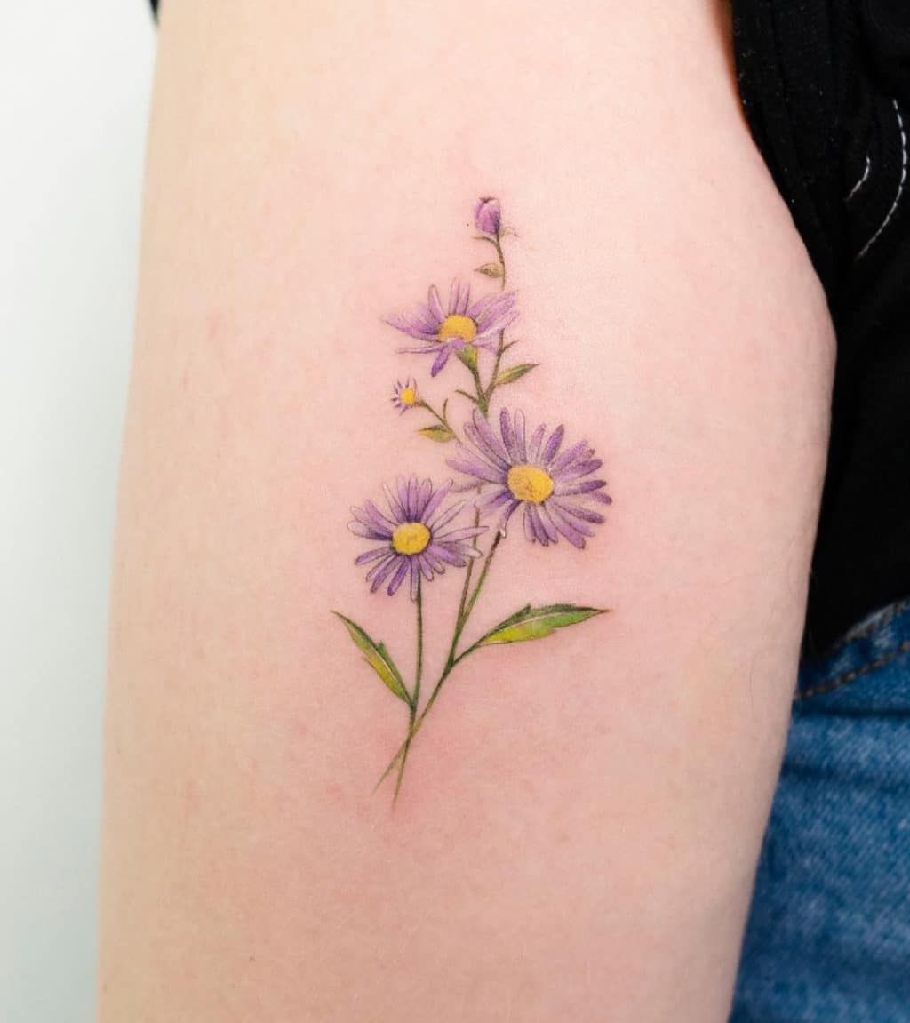 Aster Flower Drawing Aster Flower Drawing Tattoo Drawing Aster