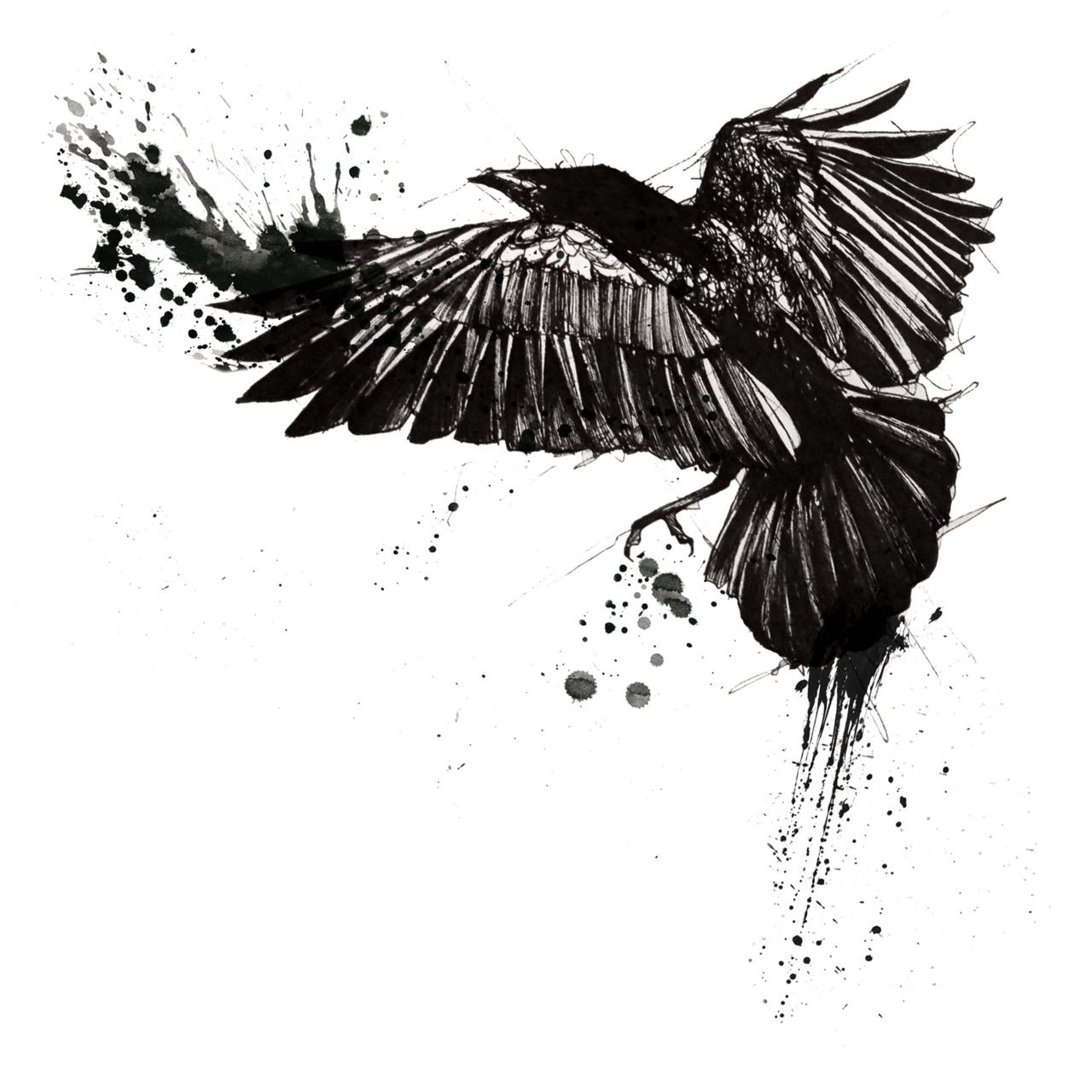 Awesome Raven Illustration With Ink Crowtattoodesign Birdtattoomen