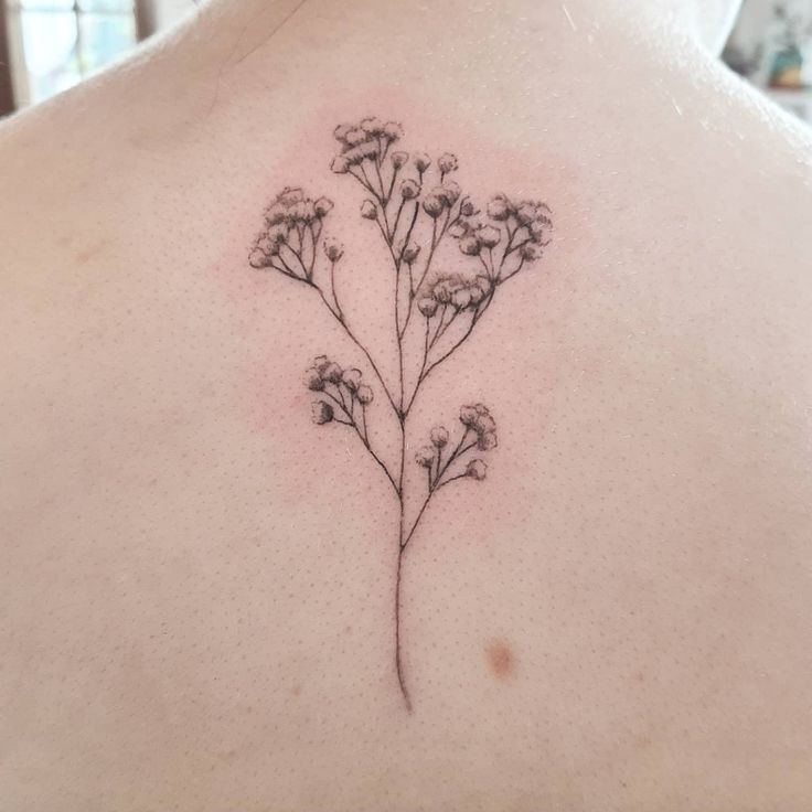 Baby S Breath Tattoo Ideas Reflecting Purity And Serenity