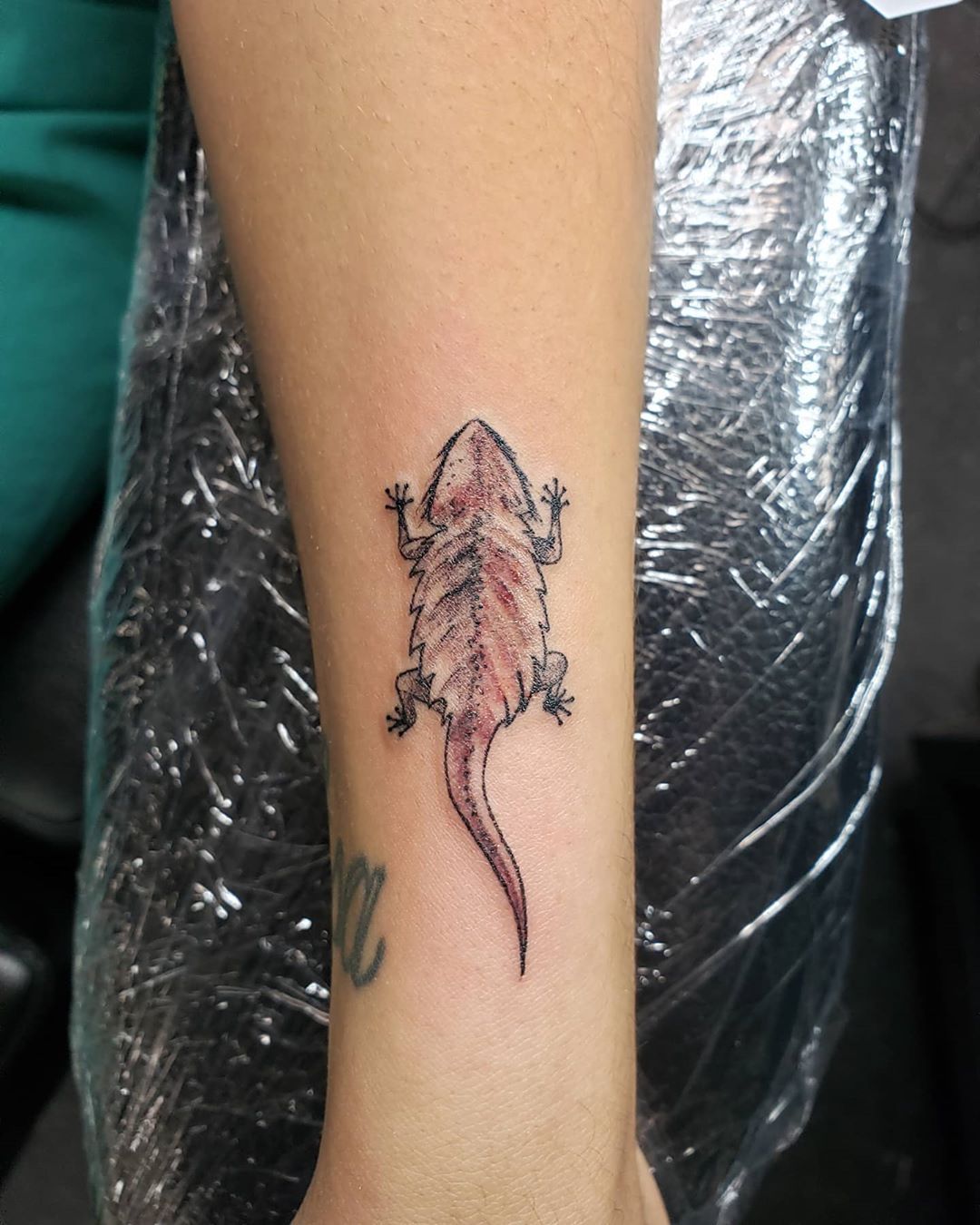 Bearded Dragon Tattoo Ideas in Boonton