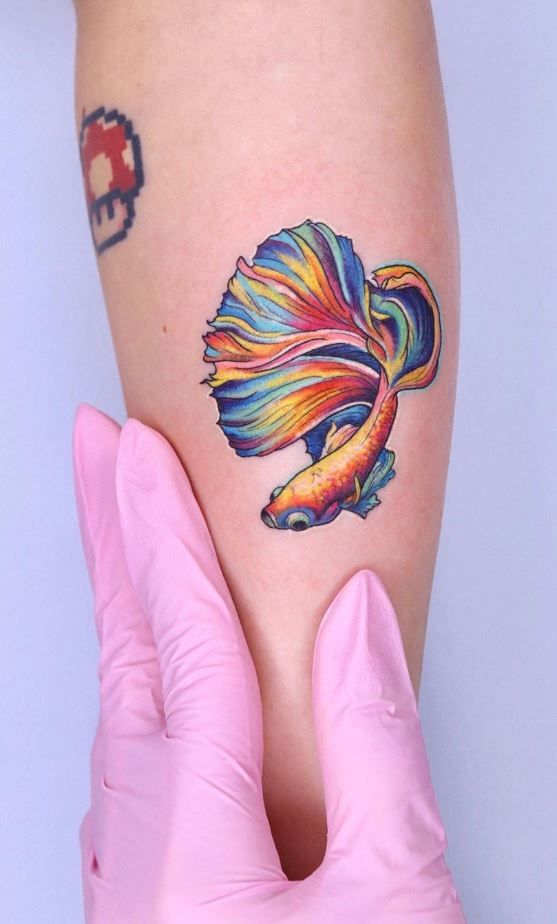 Beta Fish Tattoos And Designs Beta Fish Tattoo Meanings And Ideas Fighting Fish Tattoos Hubpages