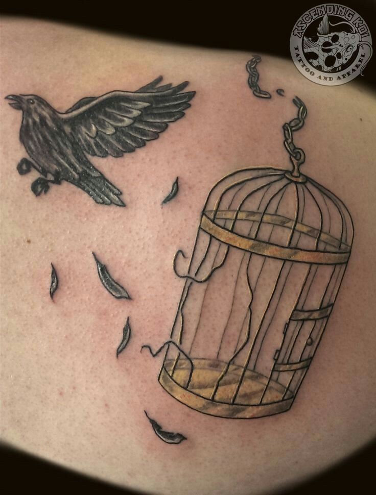 Bird Cage Tattoo Google Search Tattoos Pinterest Bird Cages