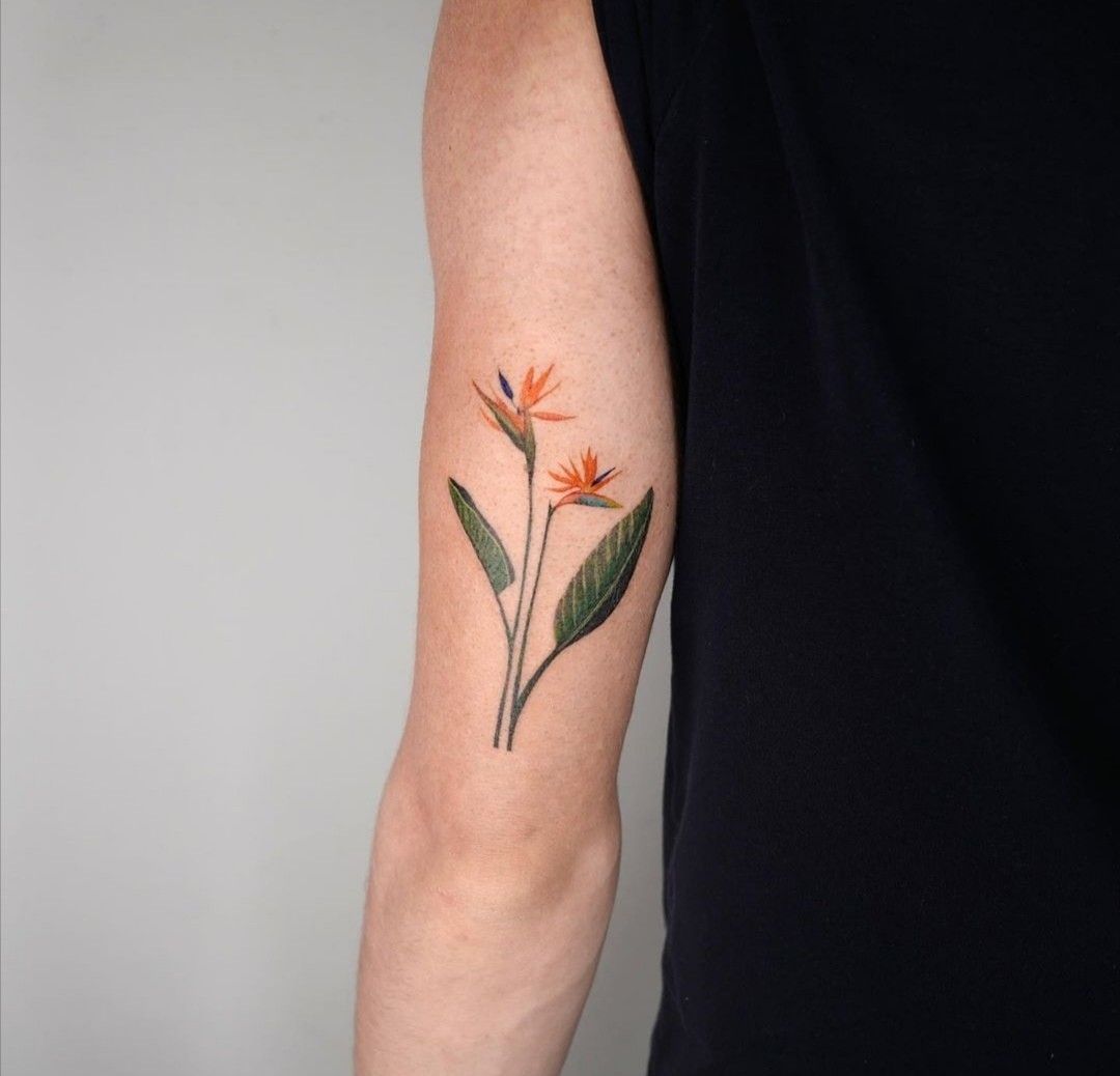 Bird Of Paradise Flower Tattoo Meaning