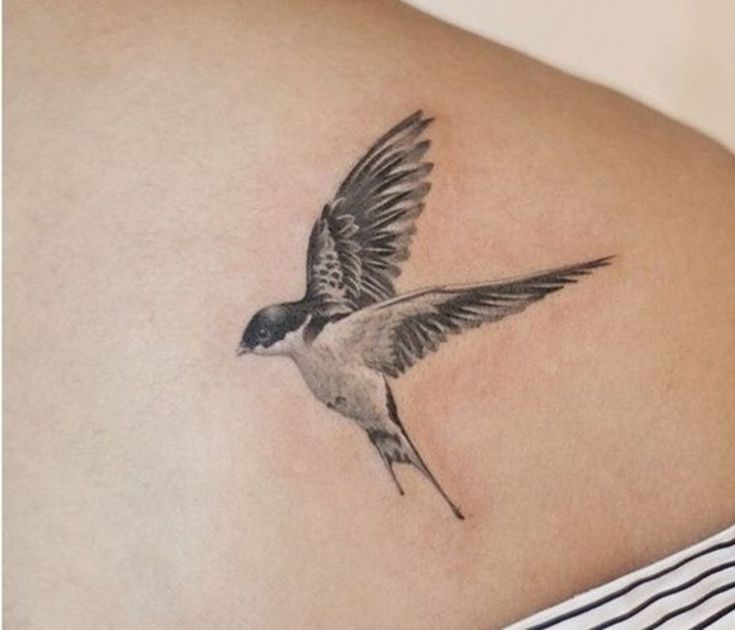 Bird Tattoos Interpreted What Various Birds Mean Represent Tatring