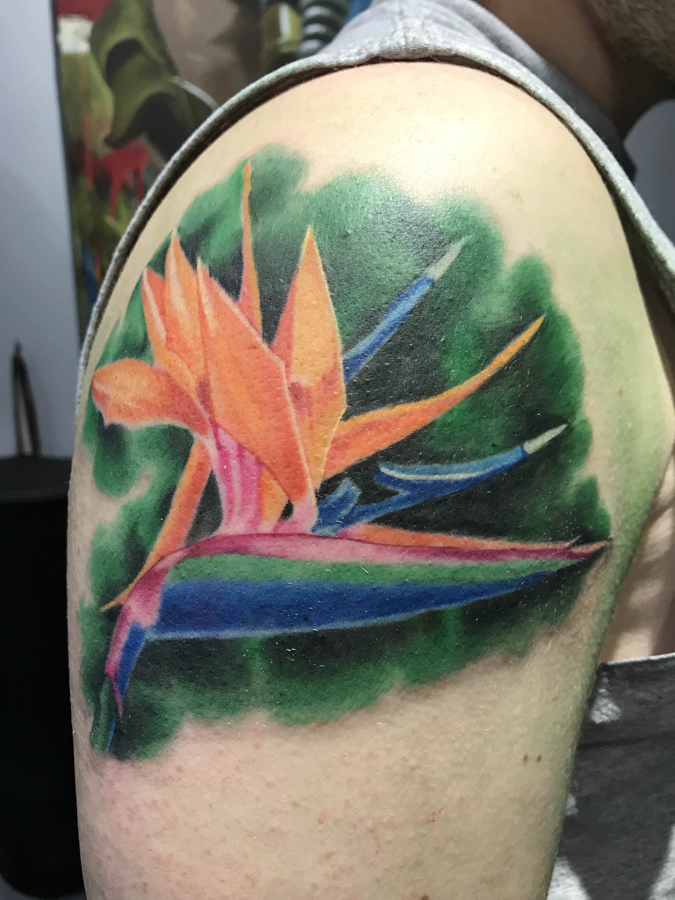 Birds Of Paradise Done By Coniah Timm Of Nautilus Tattoo In Newington