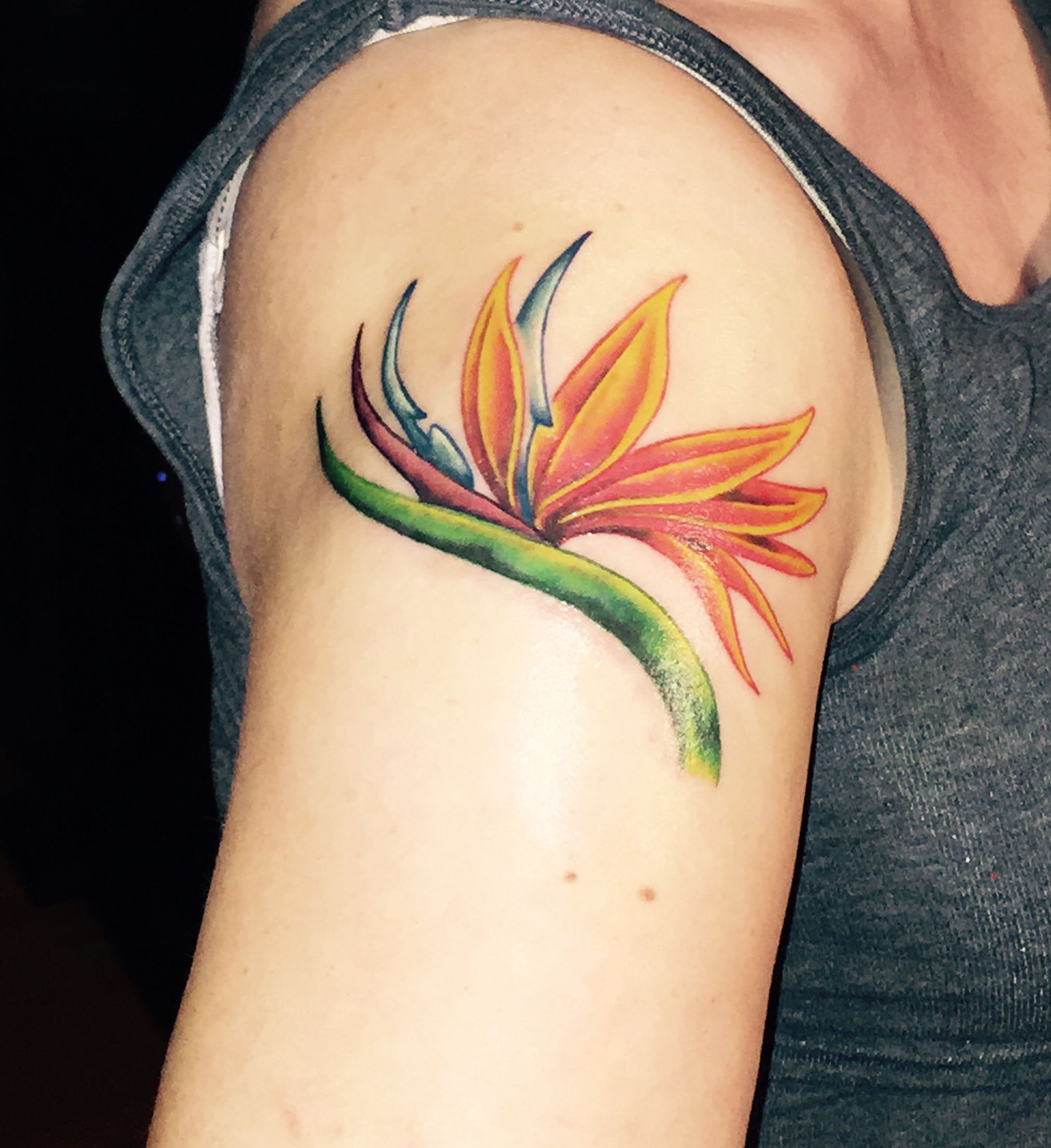 Birds of Paradise Tattoo: Symbolism and Inspiration