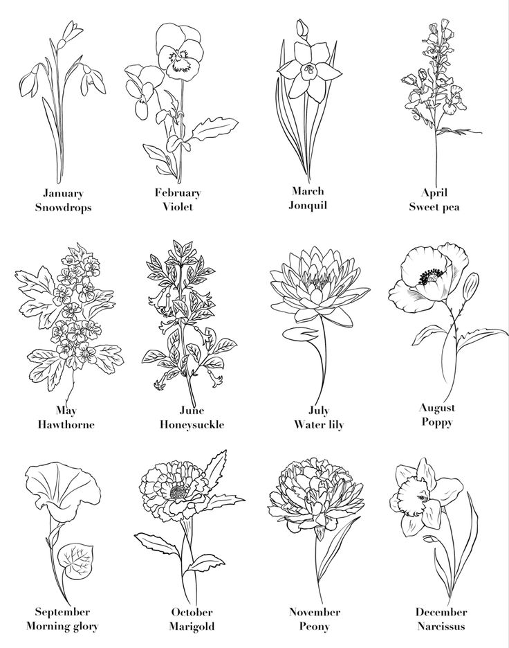 Create Your Personalized Birth Flower Bouquet Today