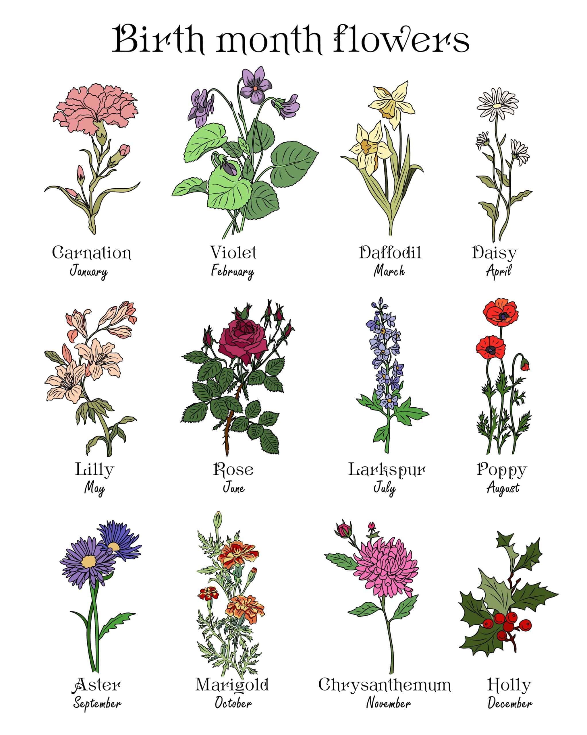 Birth Flower Chart Drawing Image To U