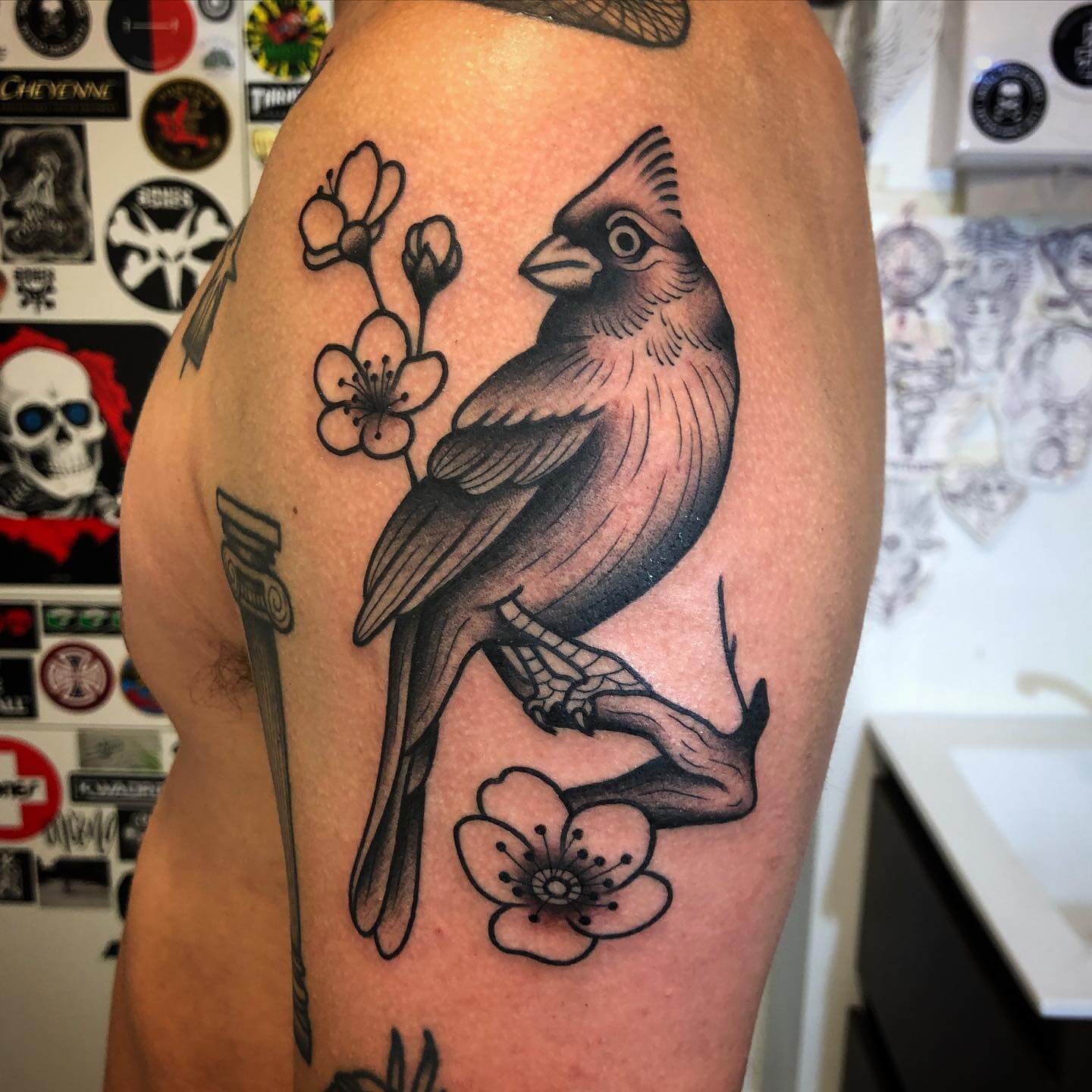 Stunning Black and White Cardinal Tattoo Ideas