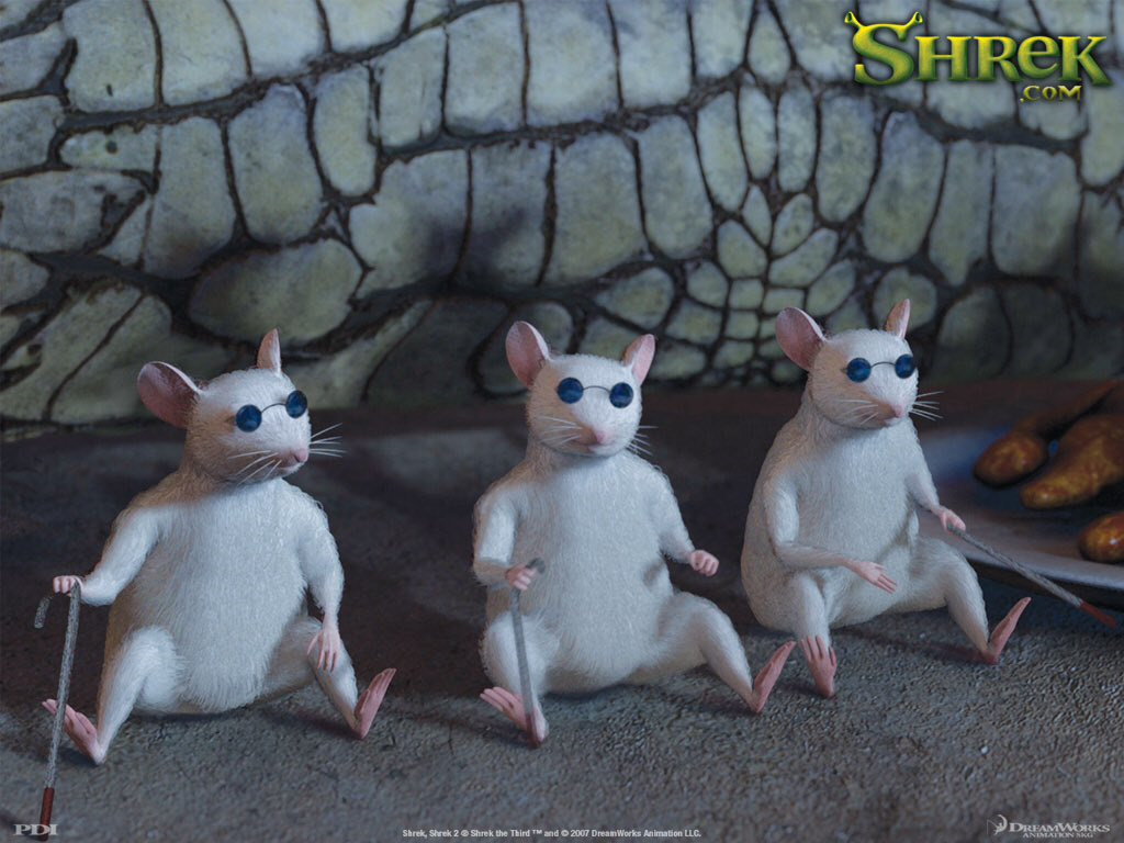 Blind Rats From Shrek: Unexpected Heroes