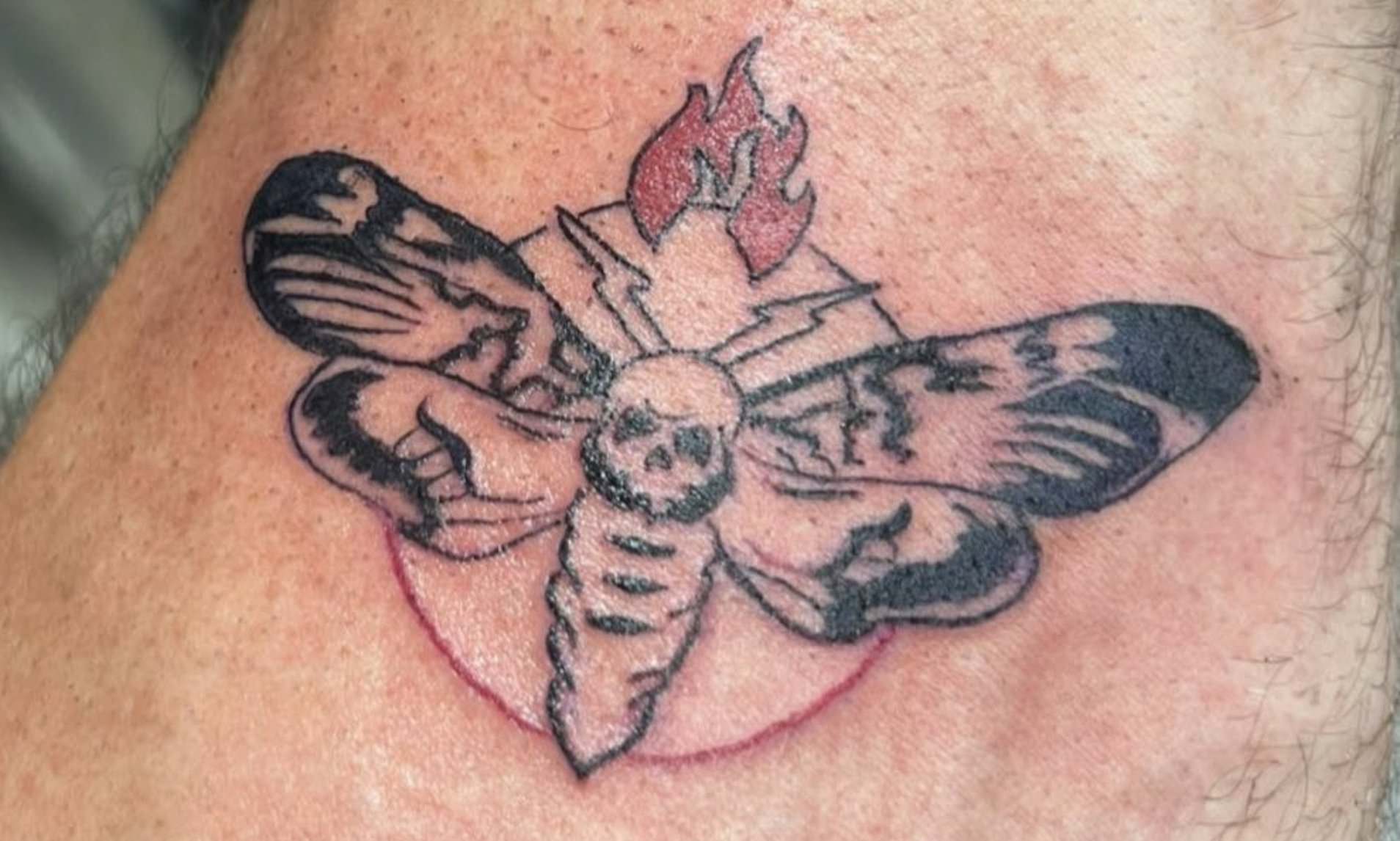 Bray Wyatt's Moth Tattoo: Unveiled Symbolism and Meaning