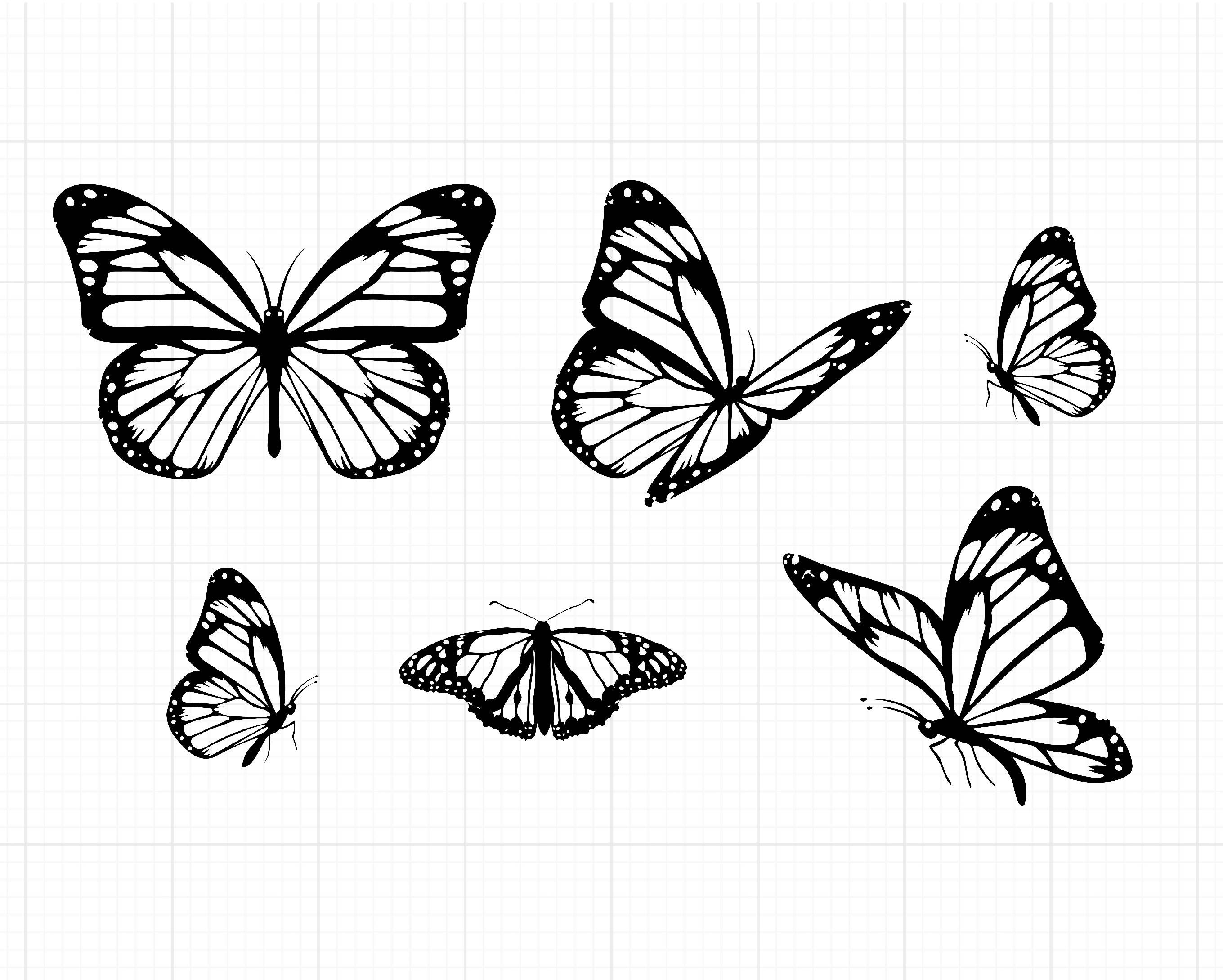 Butterfly Drawing Outline And Tattoo Stencil