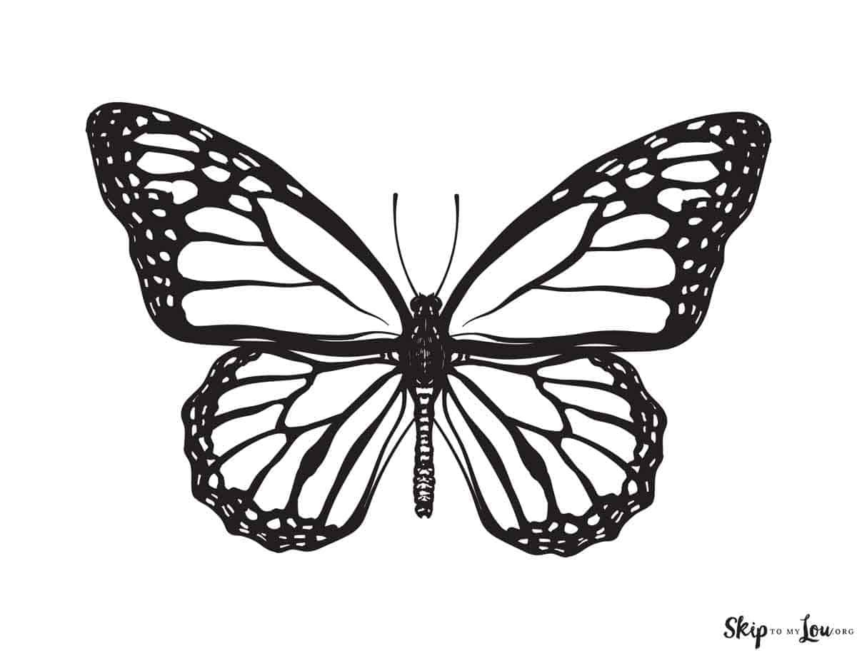 Butterfly Tattoo Stencil Designs