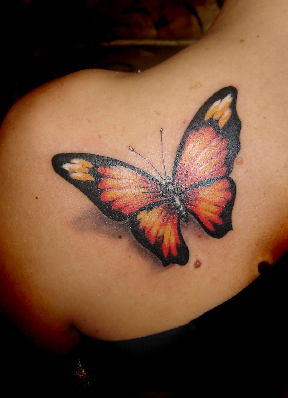 7 Stunning Butterfly Tattoo Designs for Your Shoulder