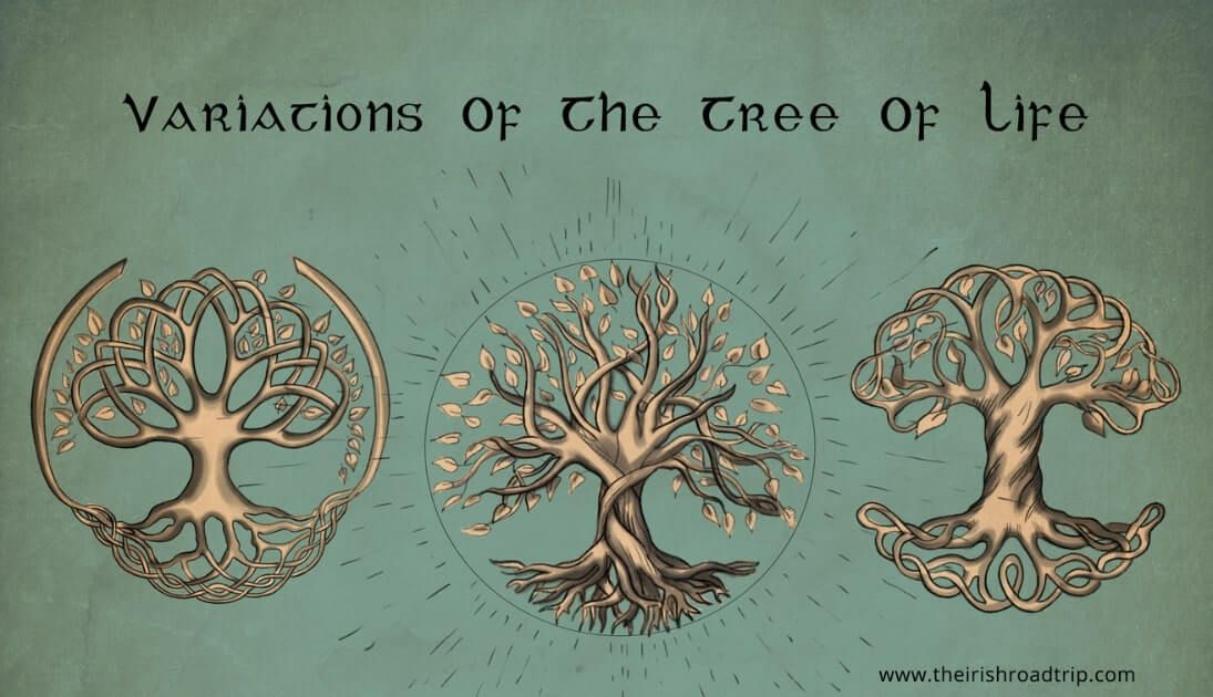 Celtic Tree Of Life Crann Bethadh Meanings Symbolism And History Celtic Tree Tattoos