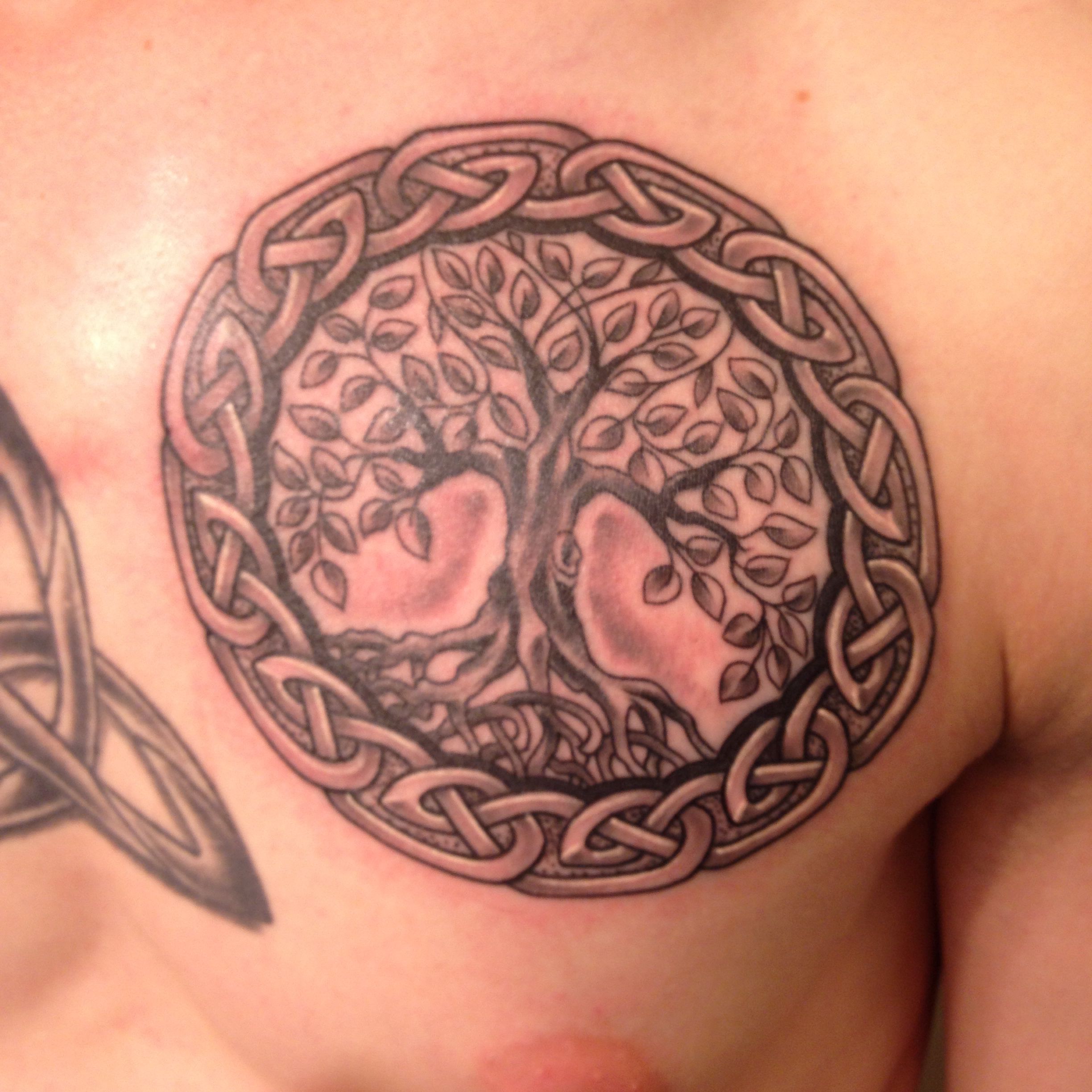 Celtic Tree Of Life Tattoo Celtic Tree Of Life Tattoo Designs 4