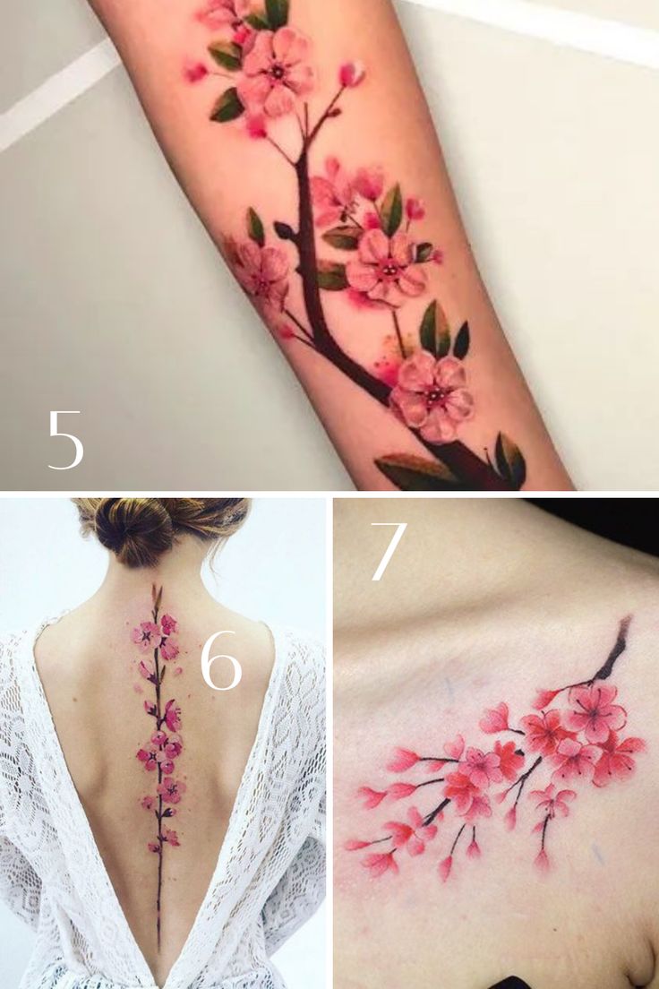 Cherry Blossom Tattoo Designs Cherry Blossoms Japanese Pinterest