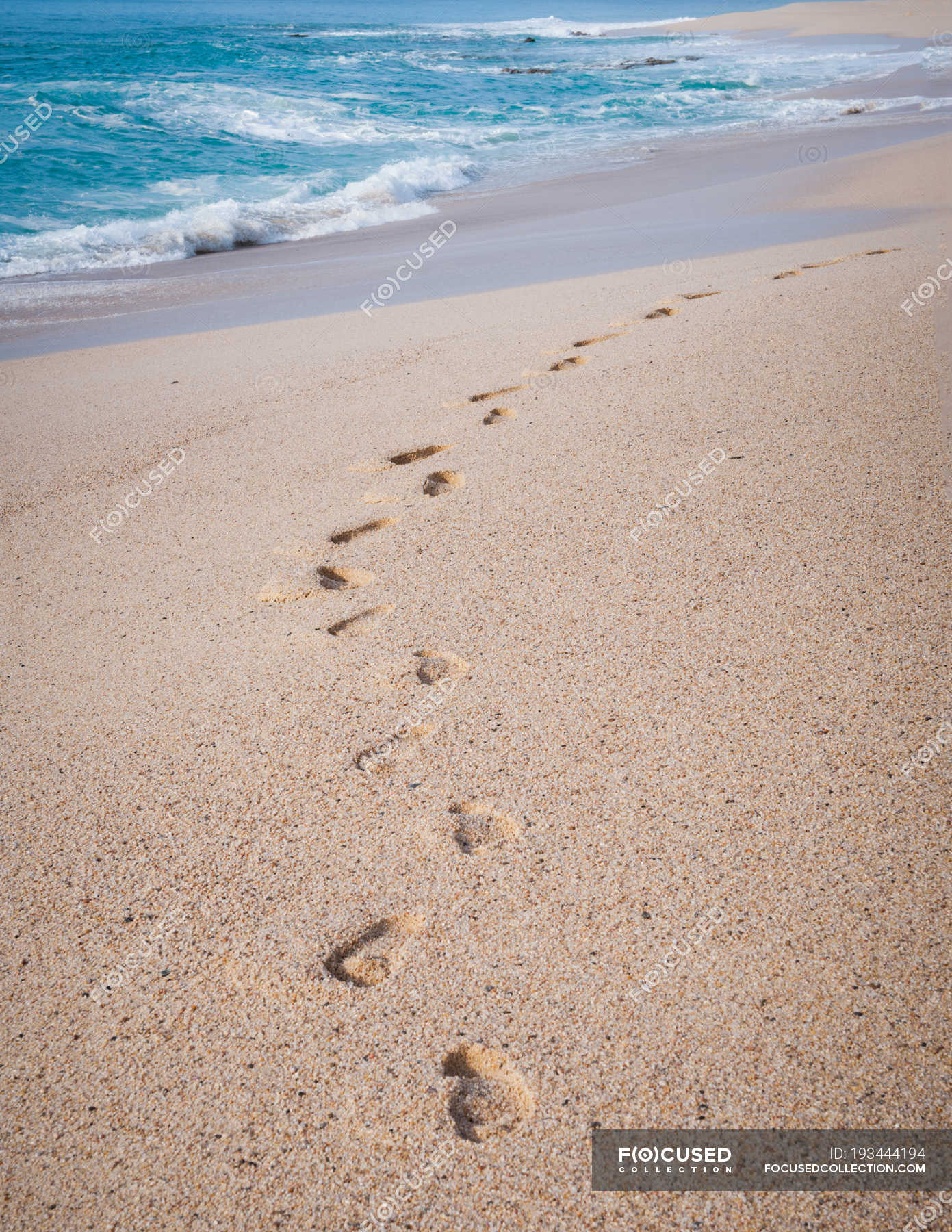 Closeup Of Footprints In Sand At The Beach Near The Water Journey