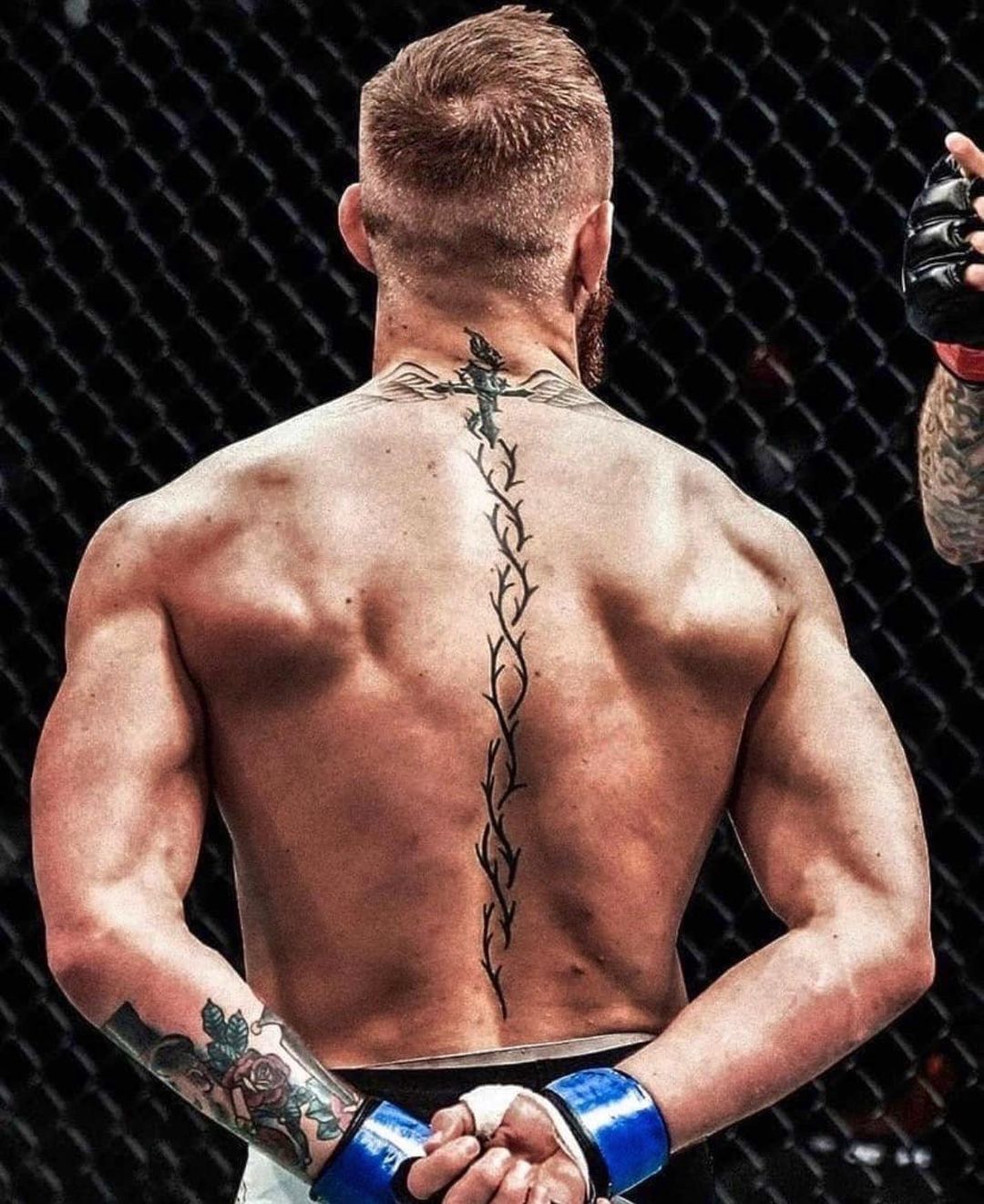 Conor Mcgregor Amp 39 S Spine Tattoo Conor Mcgregor Back Tattoo Conor Mcgregor Tattoo Spine Tattoo