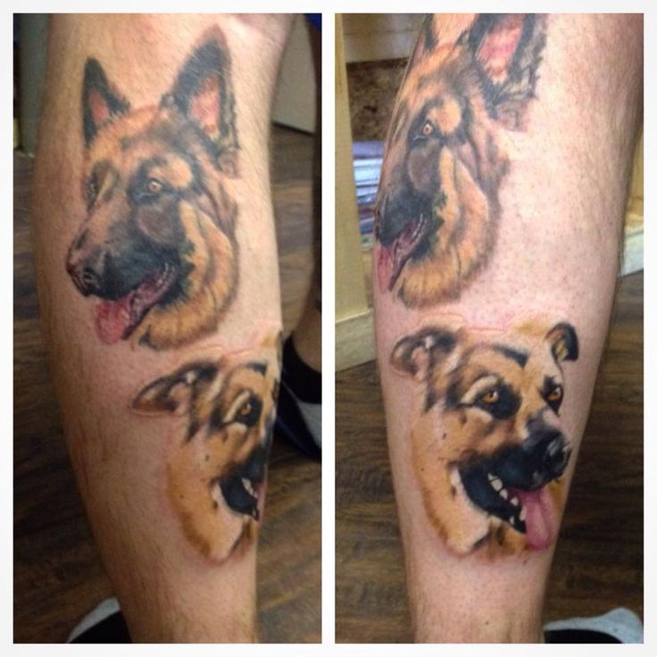 Continuing My German Shepherd Portraits Deft Tattoo Studio Artist