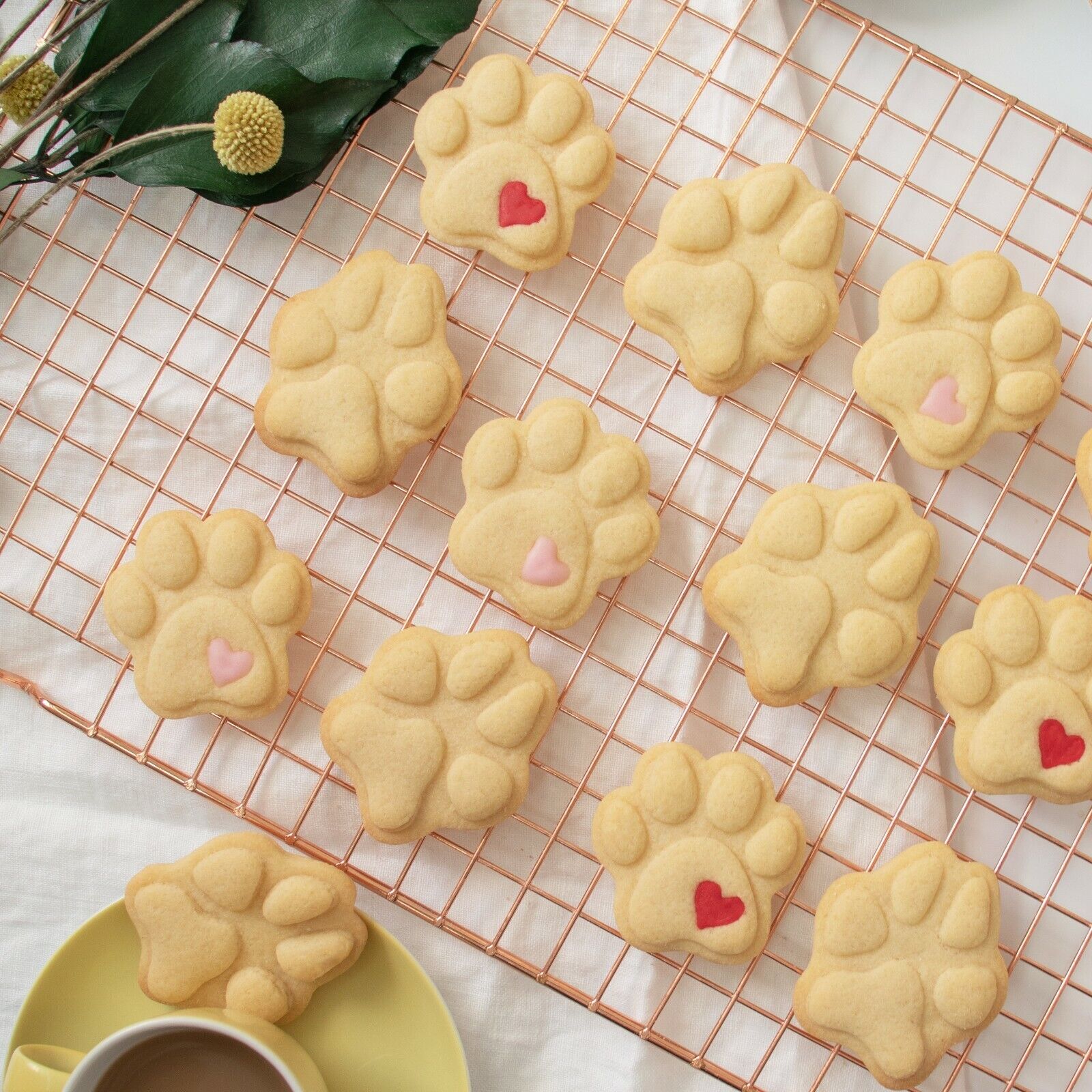 Cute And Realistic Dog Paw Prints Cookie Cutters Paws Footprints