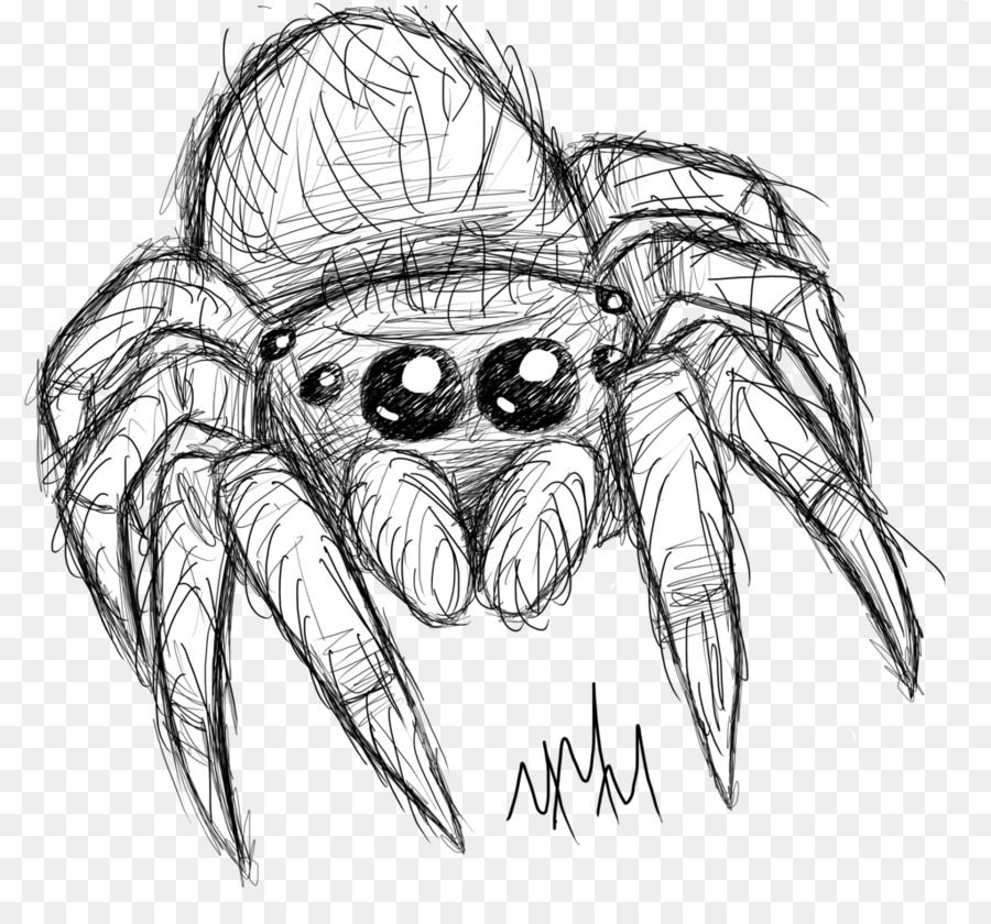 Cute Spider Drawing At Getdrawings Free Download