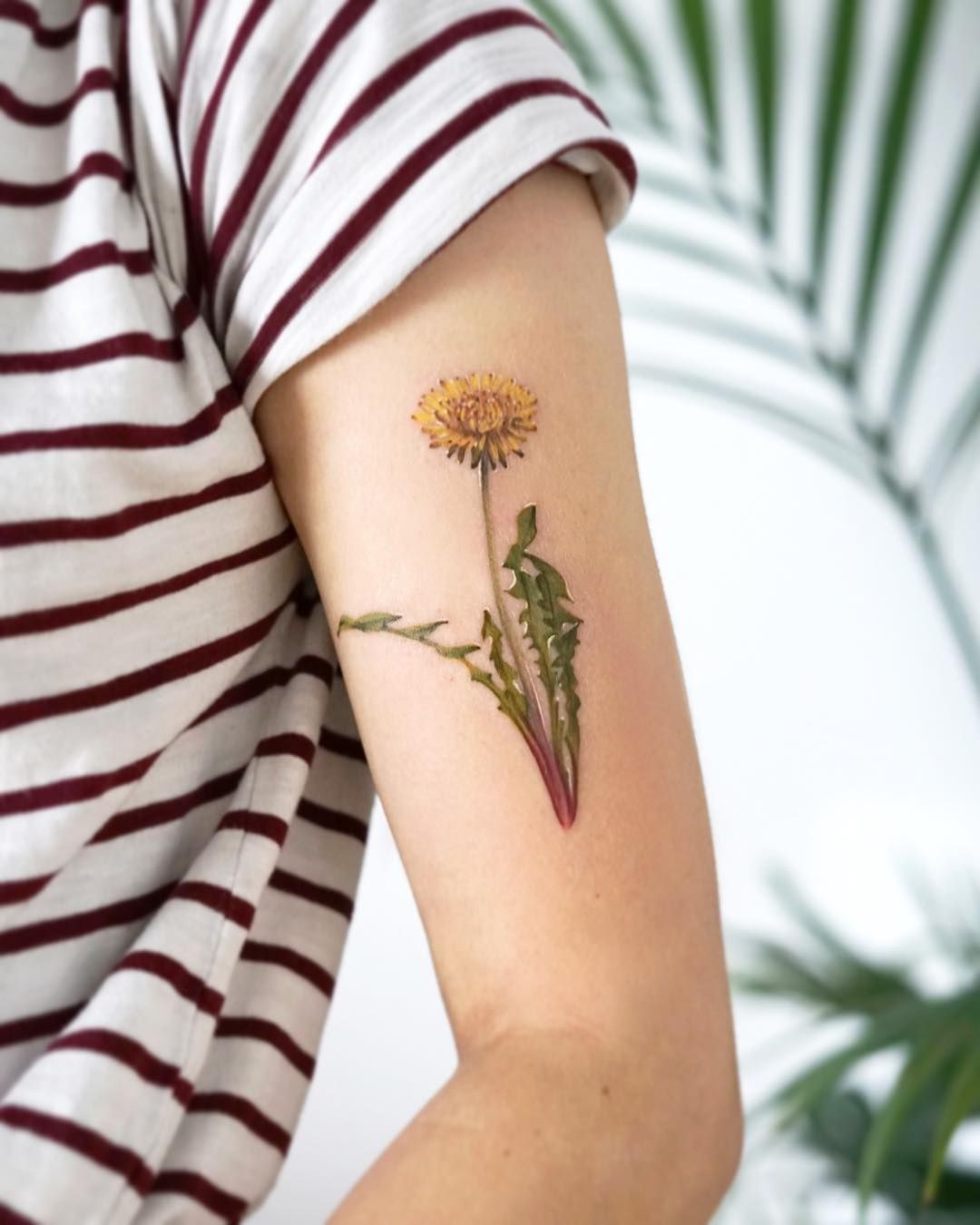 Dandelion Color Tattoo Birds Tattoo Color Tattoo Tattoo Portfolio