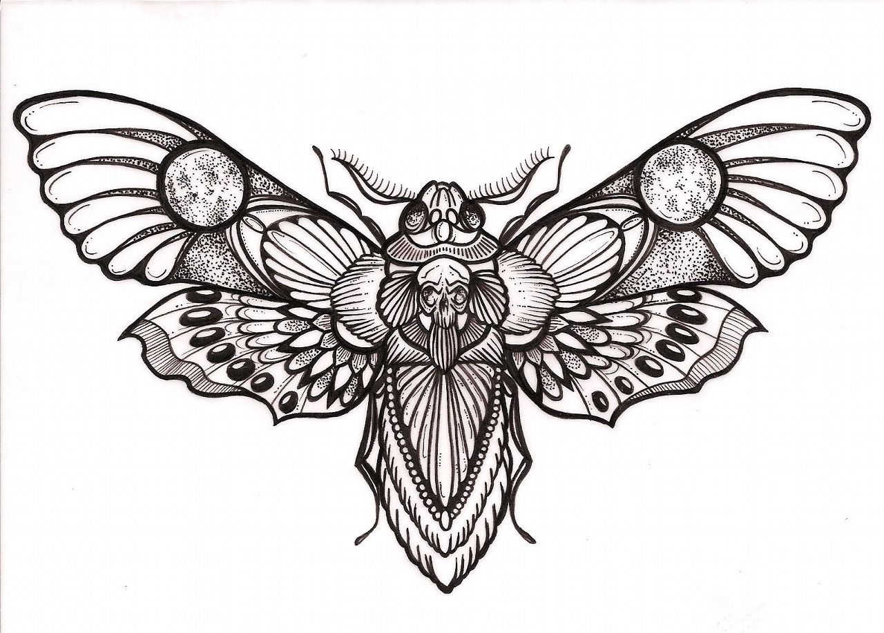 5 Creative Death Moth Tattoo Drawing Tips