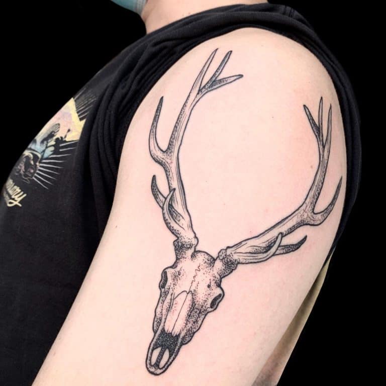 Deer Tattoos And Meanings Deer Skull Tattoos And Meanings Deer Tattoo