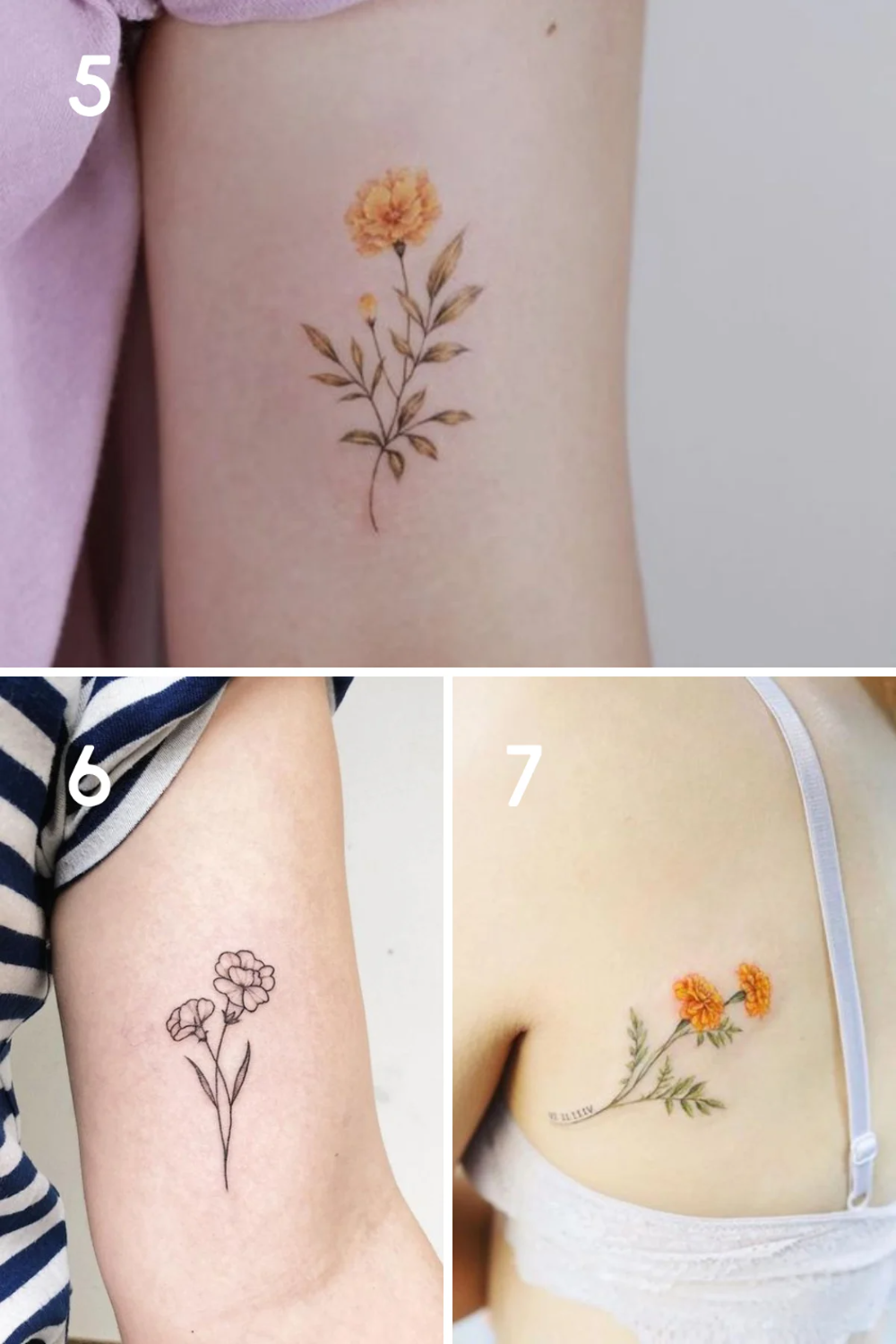 Details More Than 87 Cosmos Birth Flower Tattoo Super Hot In Coedo Com Vn