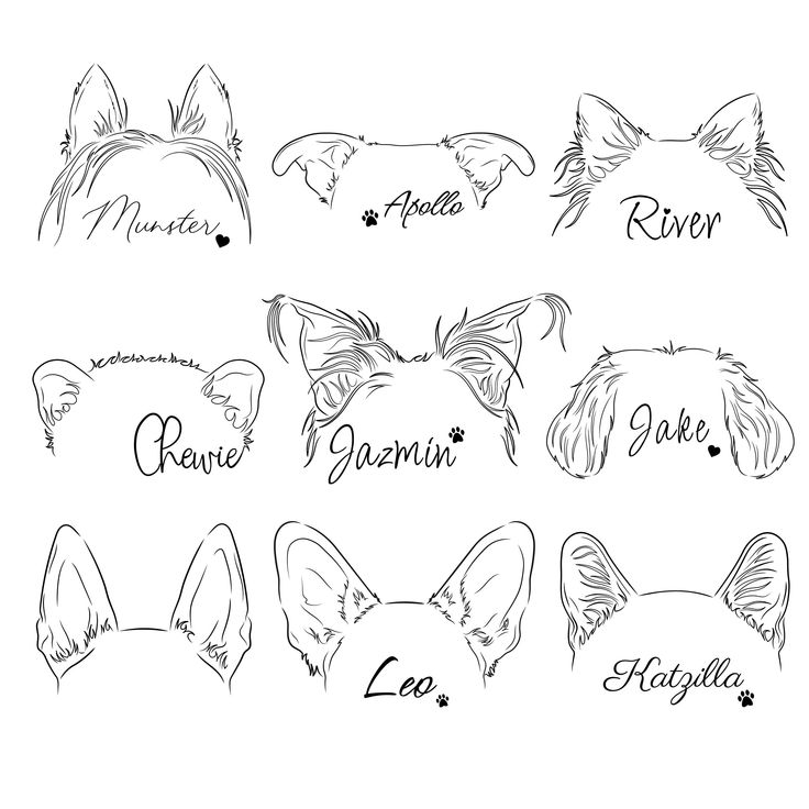 5 Steps to Give Your Dog an Ear Tattoo Safely