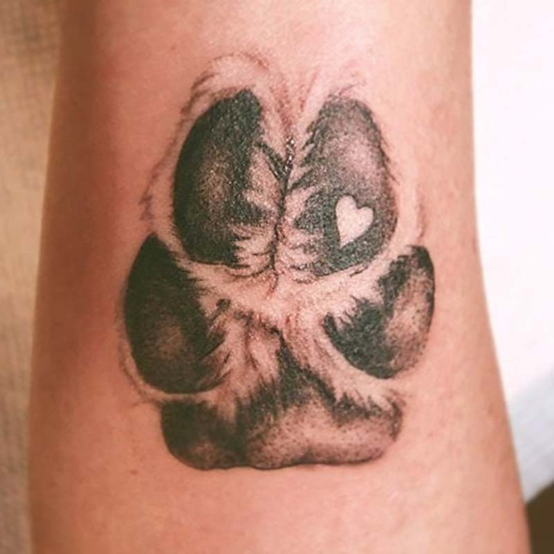 Dog Paw Print Memorial Tattoos