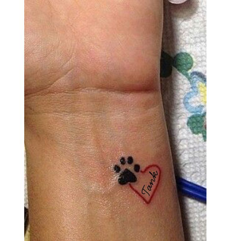 5 Dog Paw Tattoo Ideas with Names Included