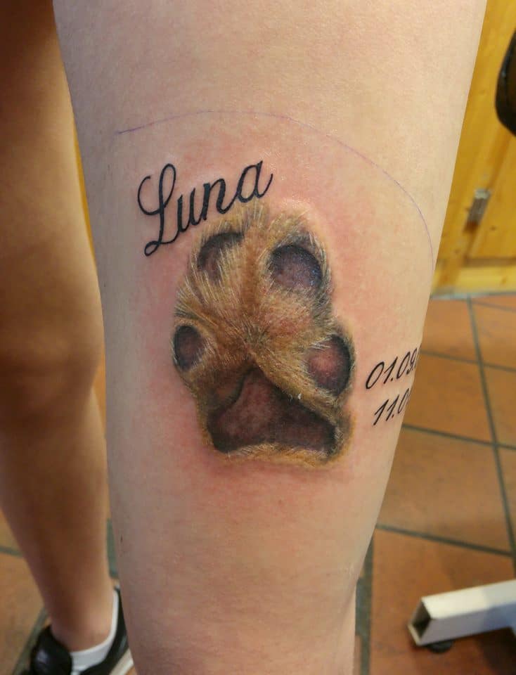 Dog Paw Tattoos Ideas