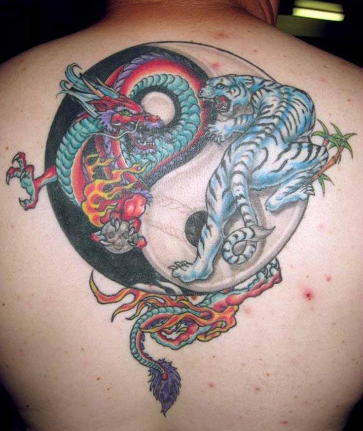 Dragon And Tiger Yin Yang Tattoo On Back