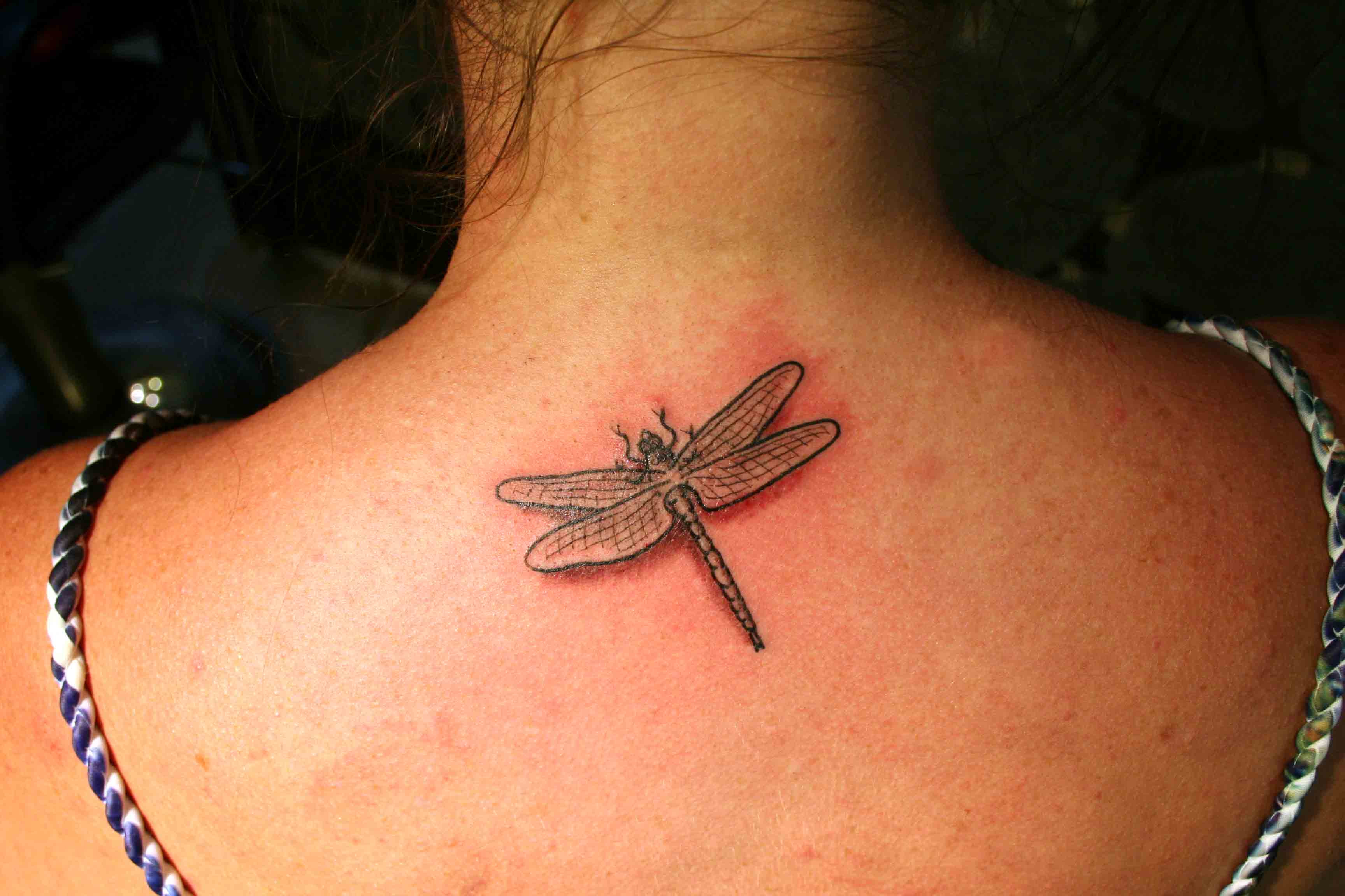 Dragonfly Tattoos: Elegant Designs for Women