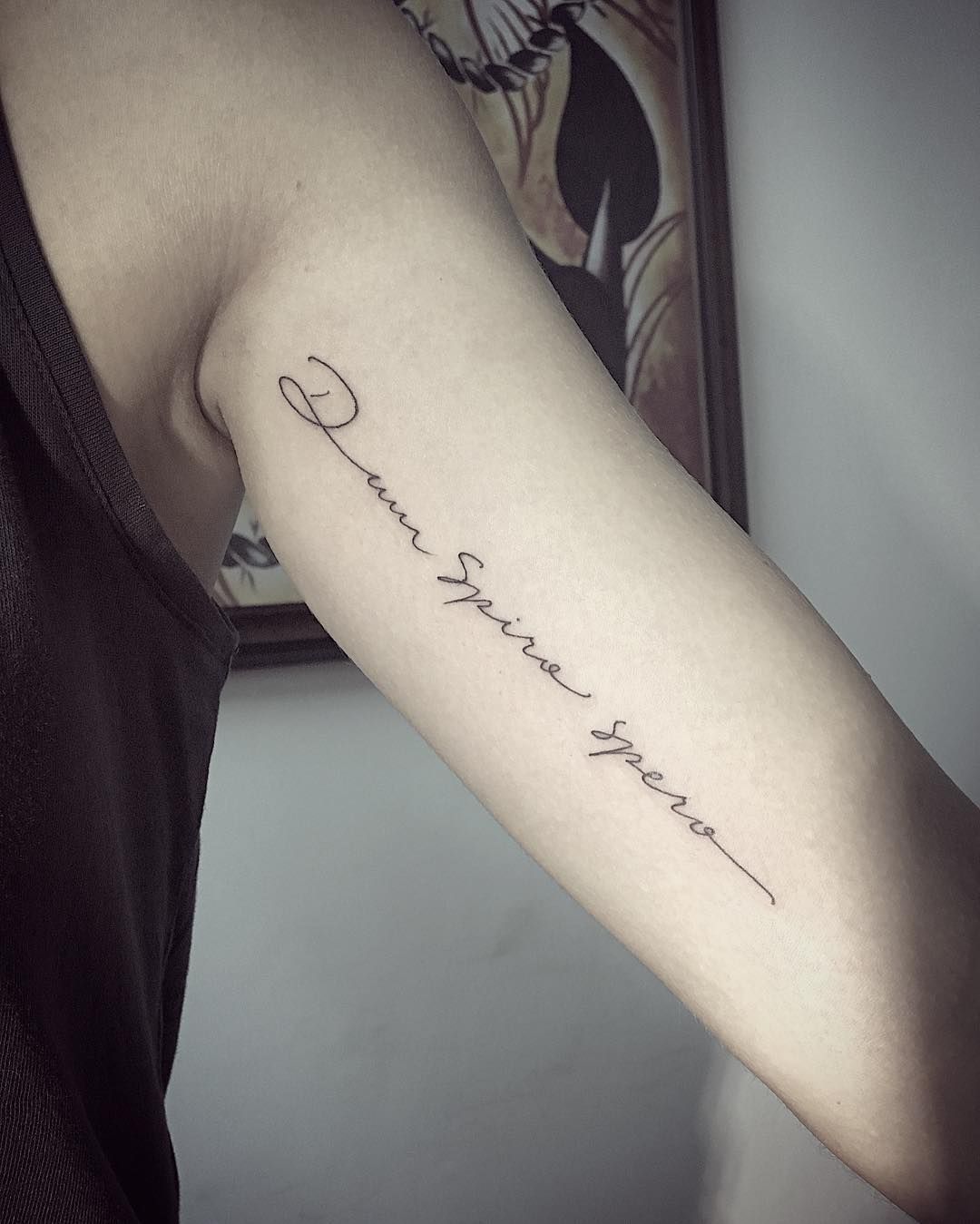 Dum Spiro Spero Tattoo Quotes Dum Spiro Spero Tattoo Tattoos