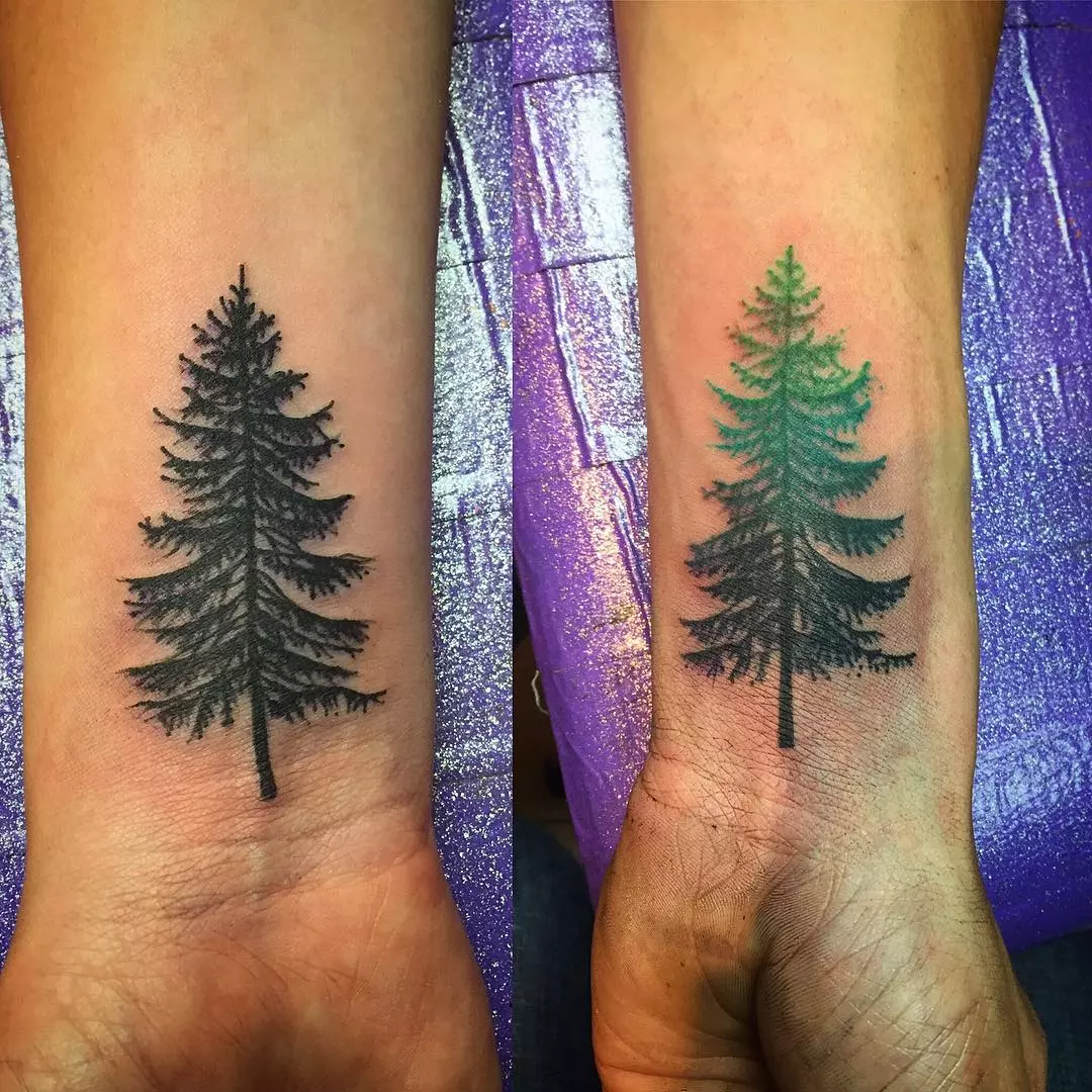 Evergreen Elegance 40 Pine Tree Tattoo Designs