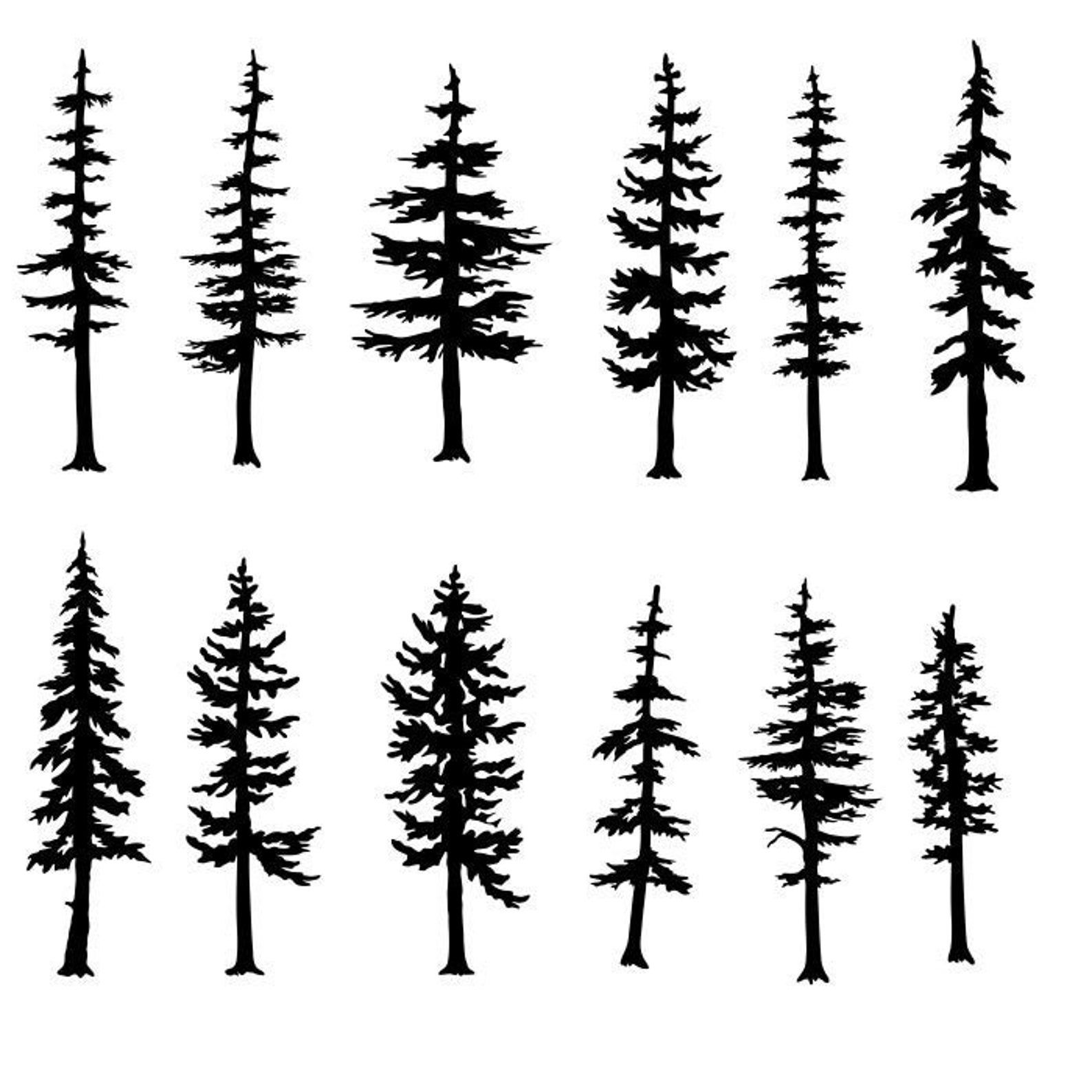 Evergreen Tree Tattoo Evergreen Trees Kiefer Silhouette Pine Tree