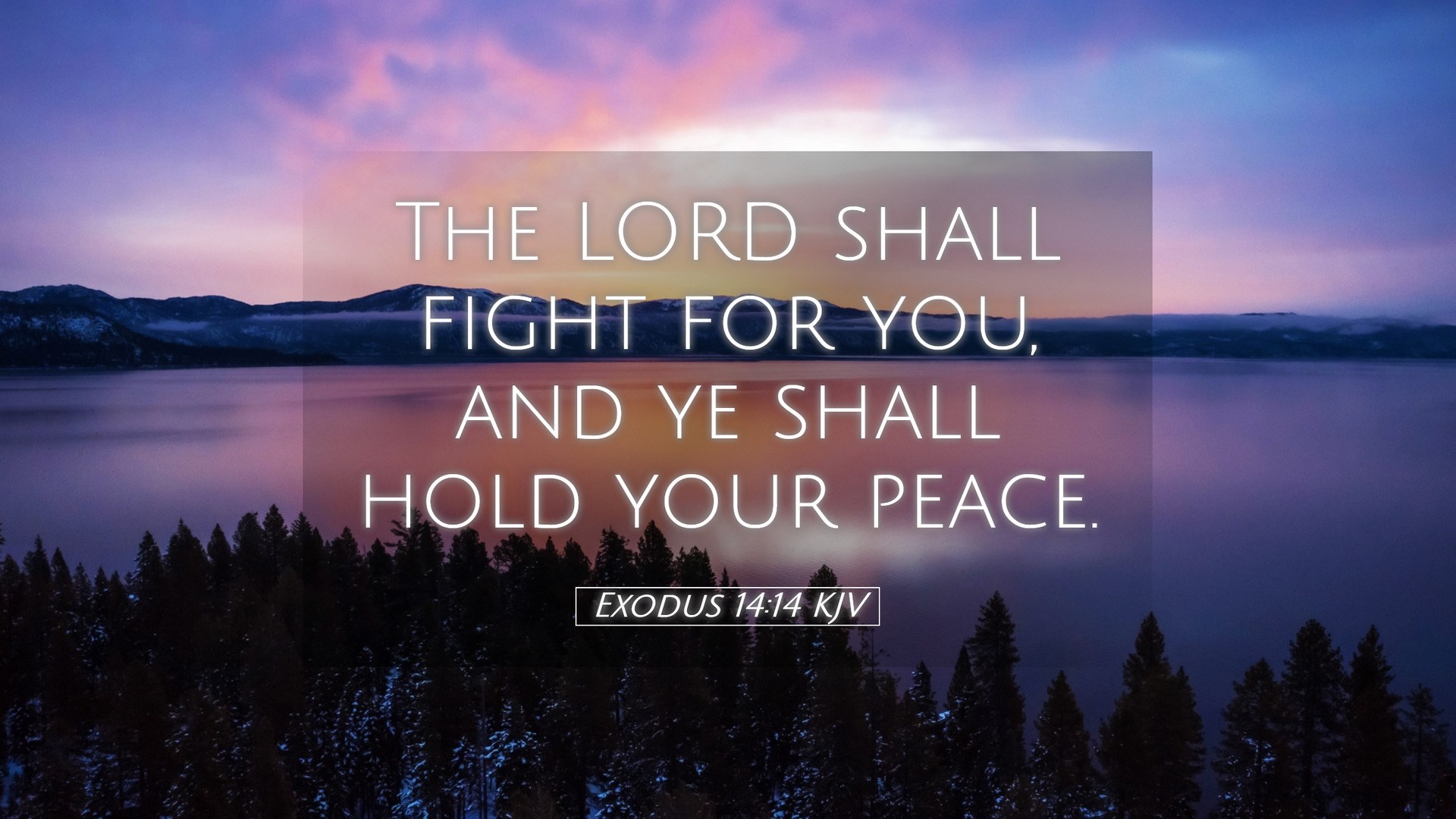 Exodus 14 14 The Lord Shall Fight For You Print On Canvas Bed Bath