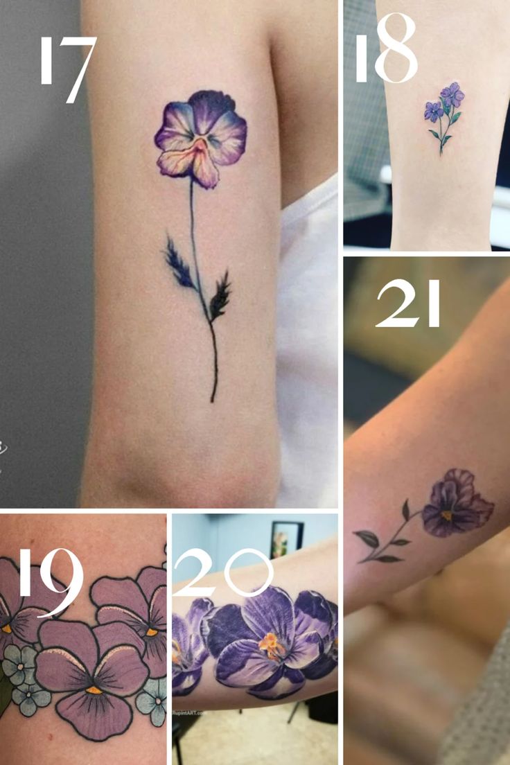 February Birth Flower Violet Violet Flower Name Tattoo Name Flower