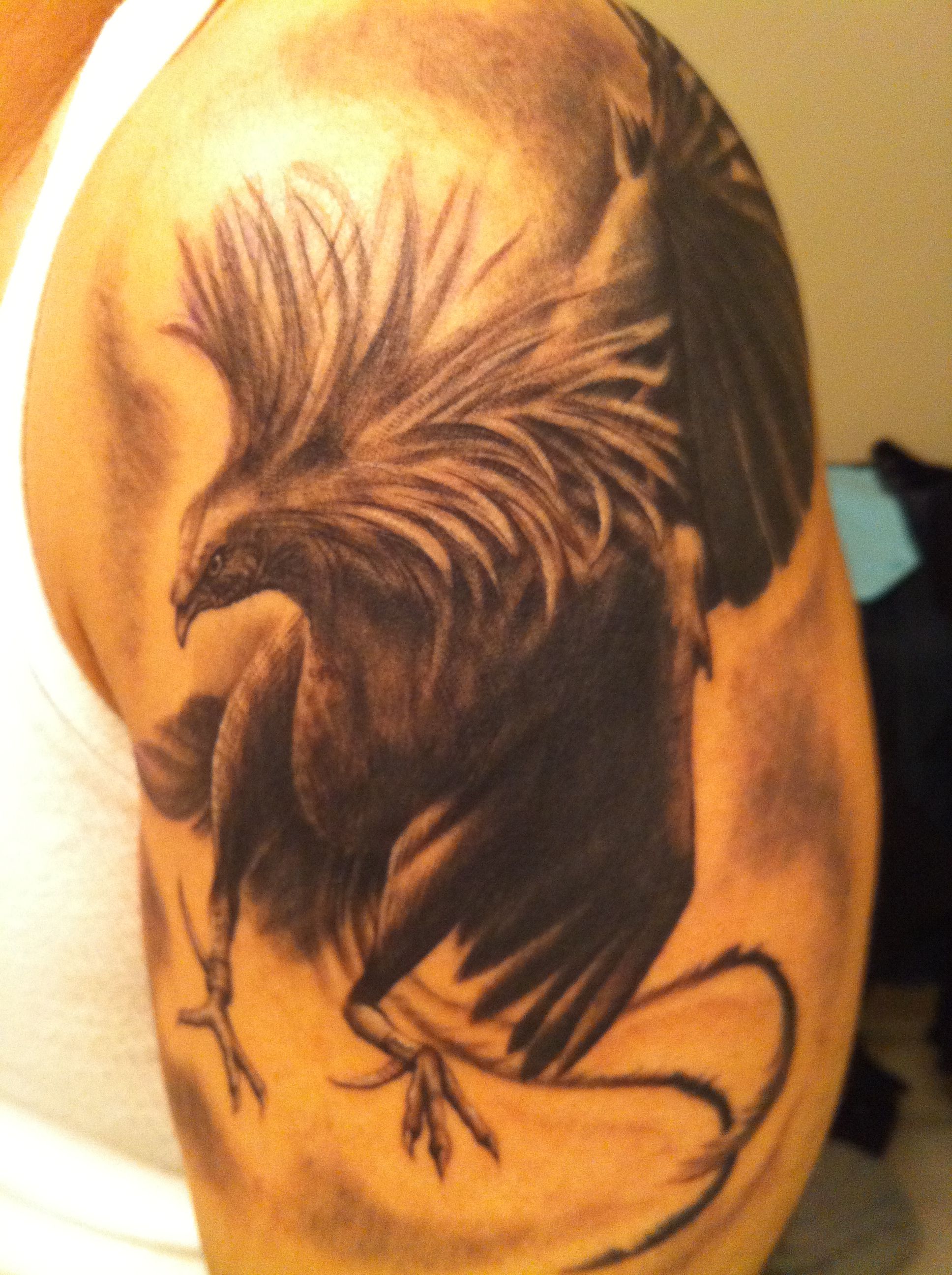 Fighting Rooster Tattoo Designs Cliparts Co