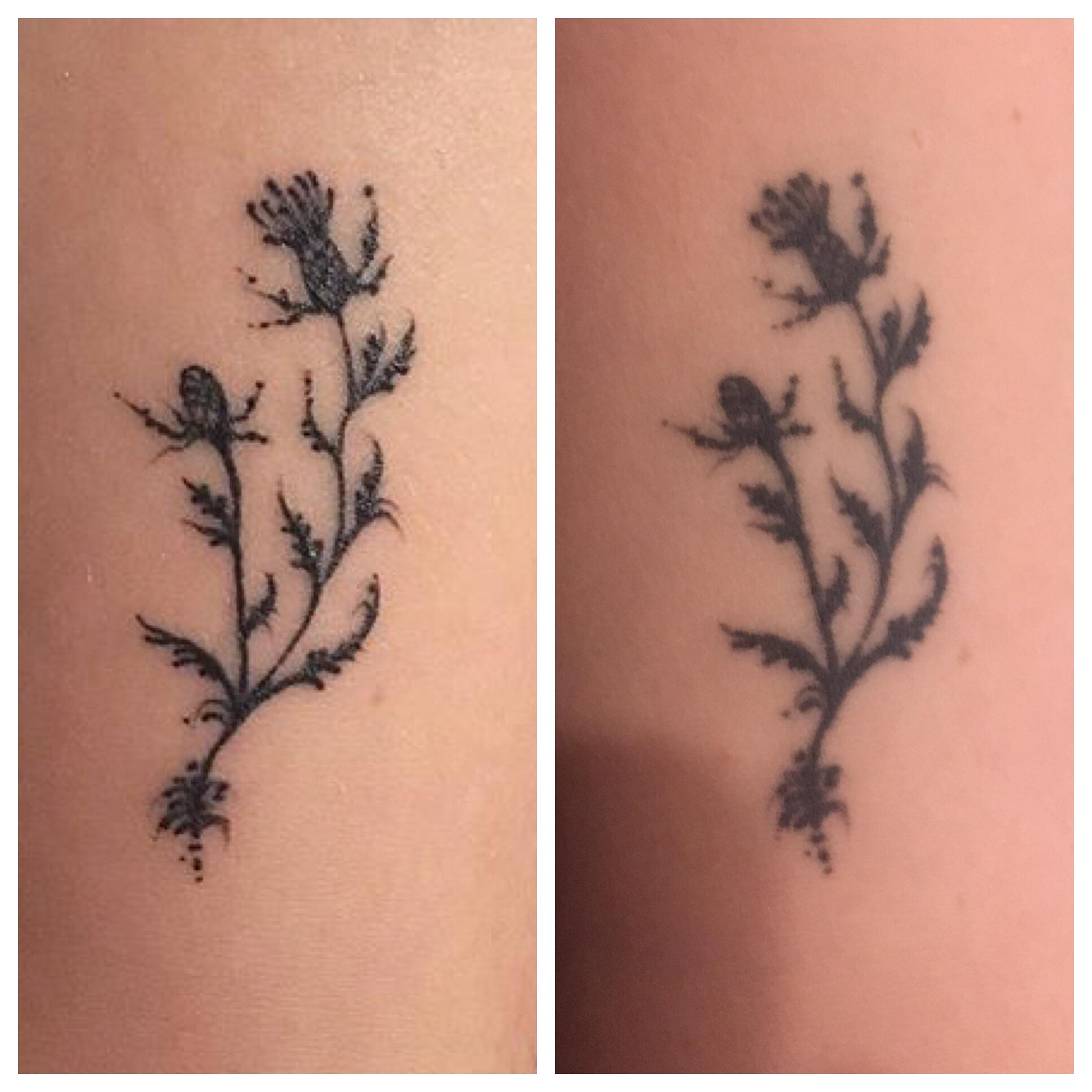 Fine Line Tattoo Aging: What to Expect