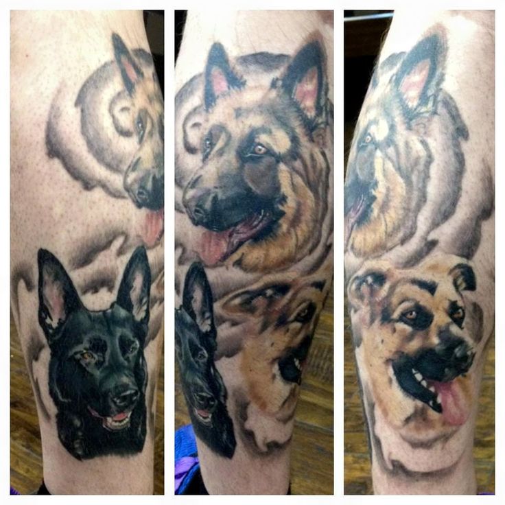 Finished German Shepherd Portrait Deft Tattoo Studio Artist Andrew