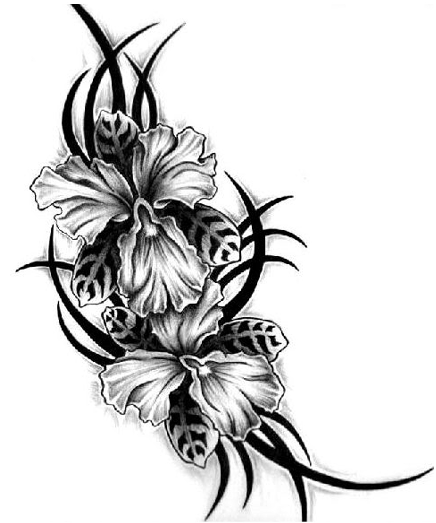 5 Stunning Ideas for Flower and Tribal Tattoos