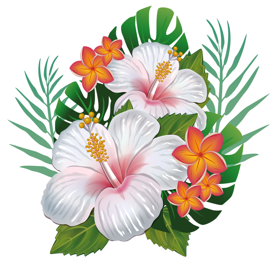 Flower Hawaii Clip Art Flower Png Download 800 653 Free