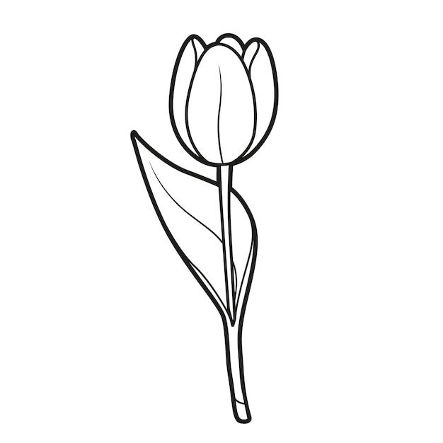 5 Ways Tulip Hearts Bloom Love Outlines