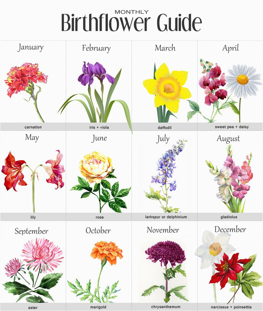 Birth Month Flowers: Perfect Tattoo Ideas