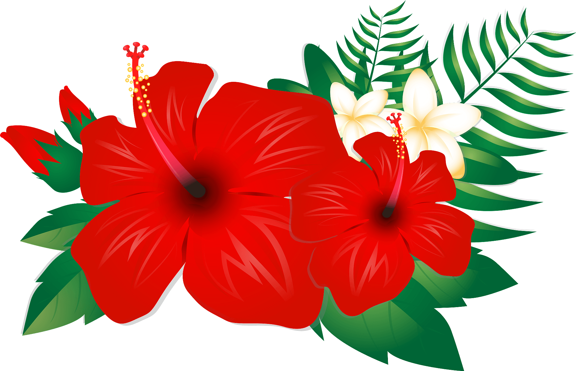 Free Hawaiian Flower Download Free Hawaiian Flower Png Images Free