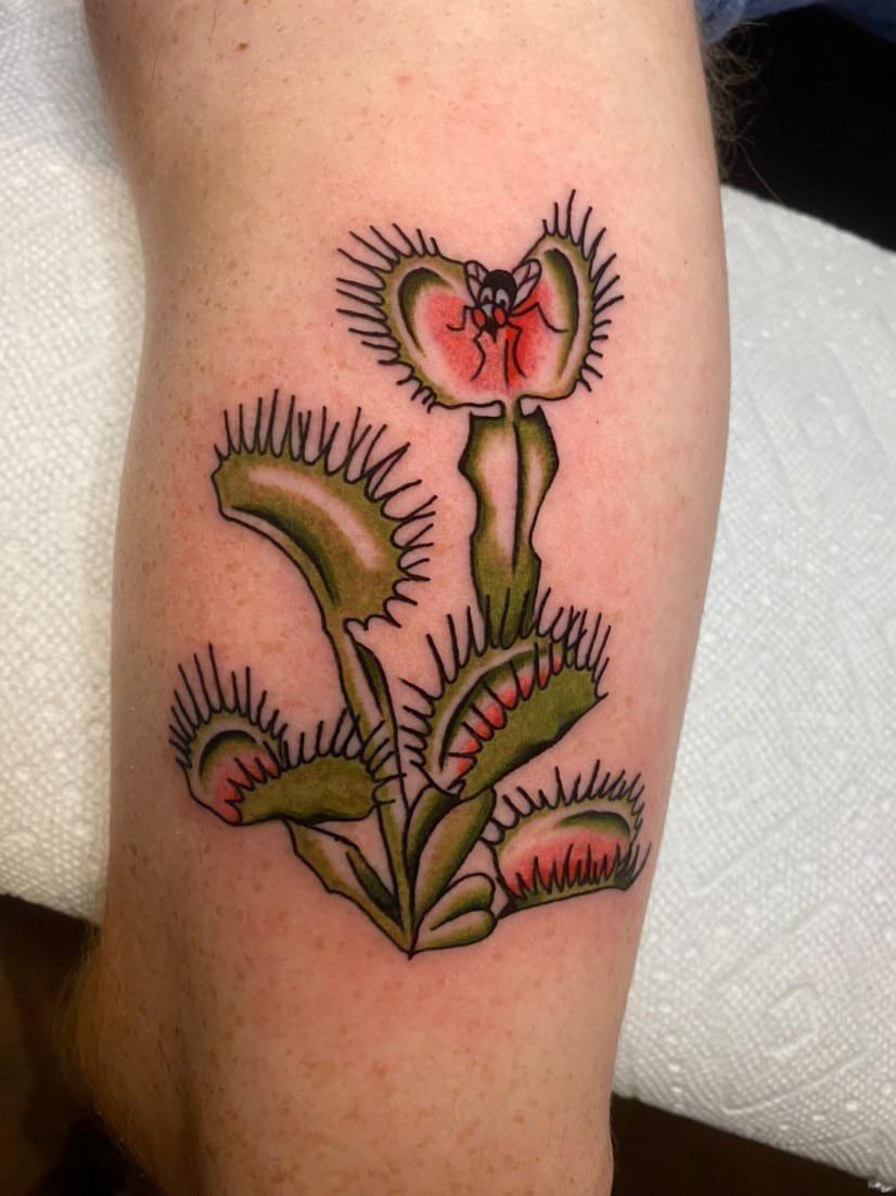 Fresh Venus Fly Trap By Ellen Goodrich Old Souls Tattoo Parlour In Kcmo R Tattoos